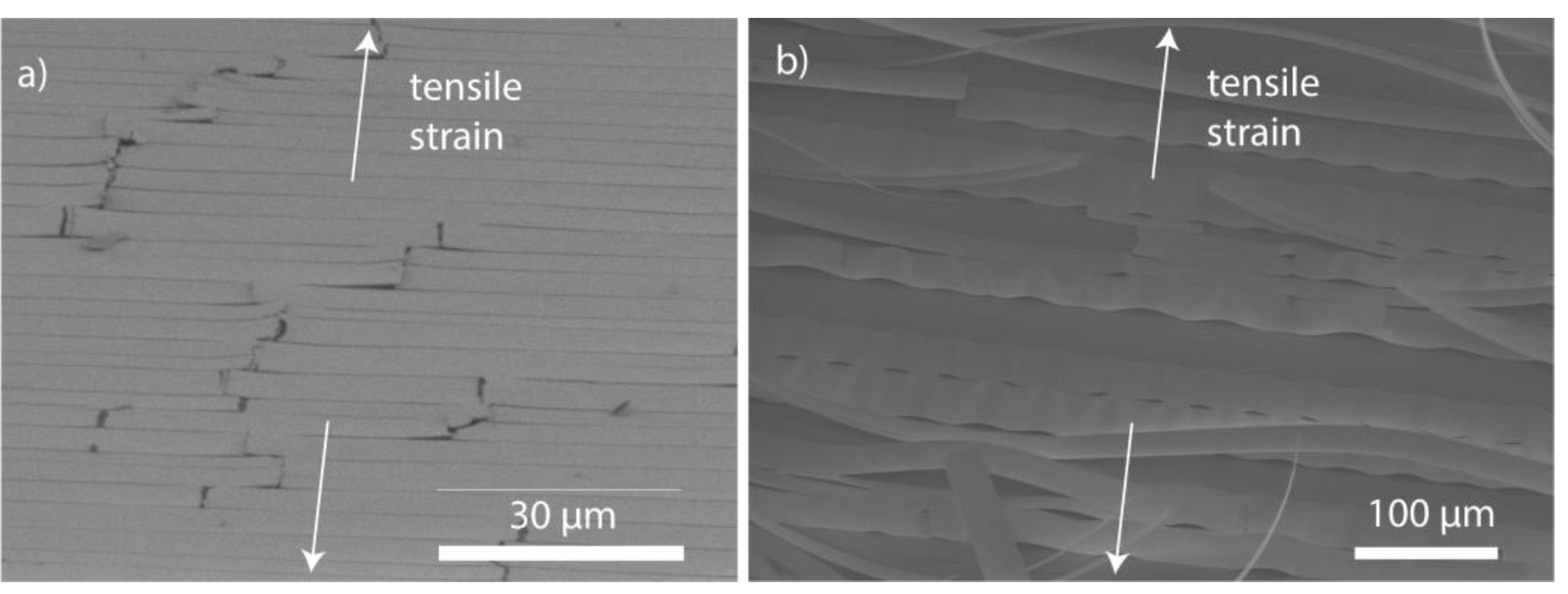 Nanomaterials 09 00088 g004 Nanomaterials 09 00088 g004