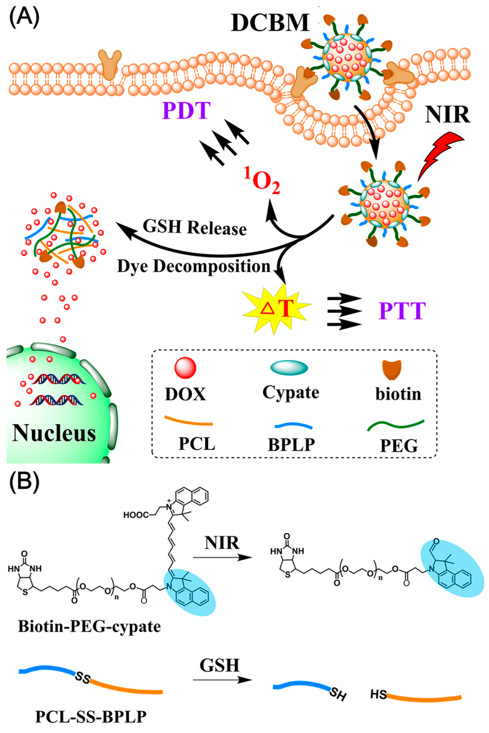 Nanomaterials 09 00091 sch001 Nanomaterials 09 00091 sch001