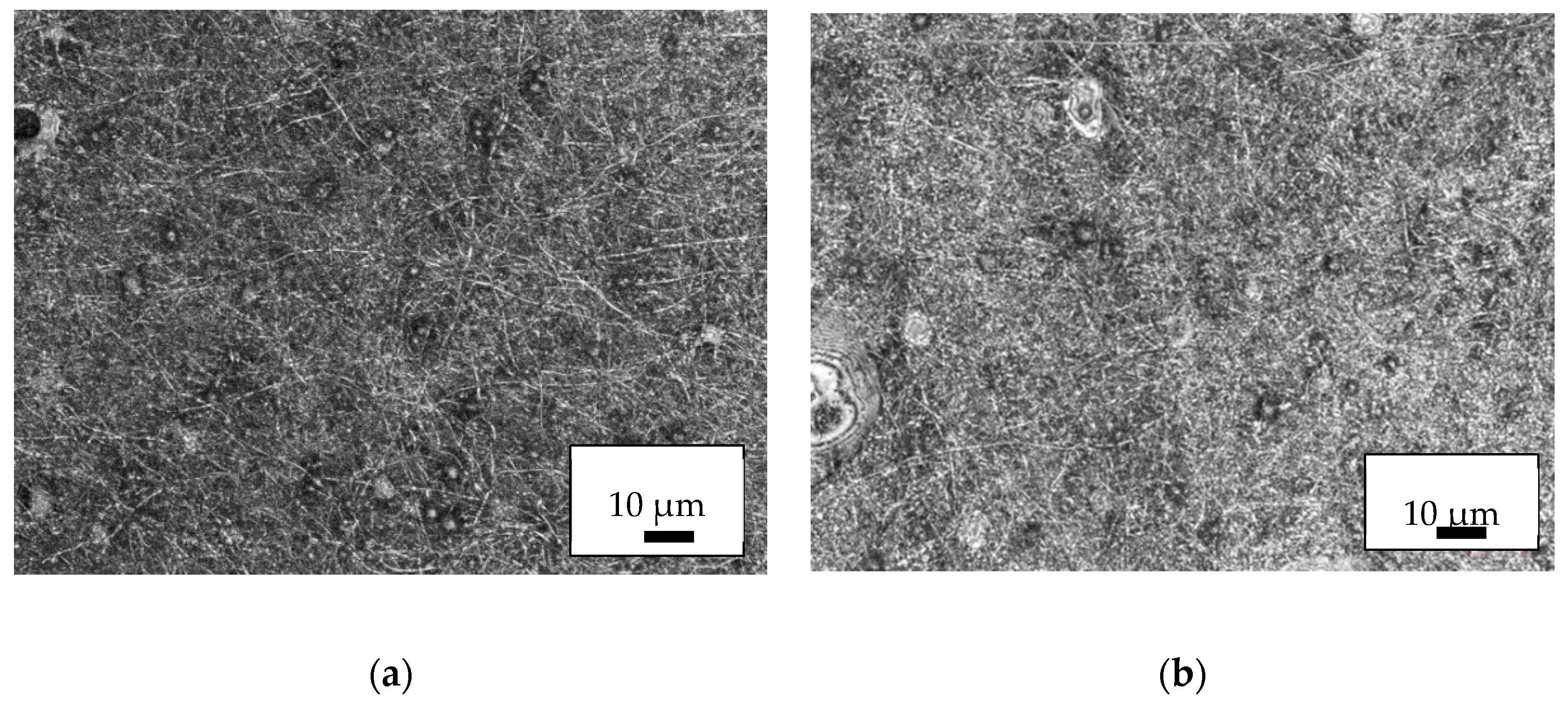 Nanomaterials 09 00092 g005a Nanomaterials 09 00092 g005a