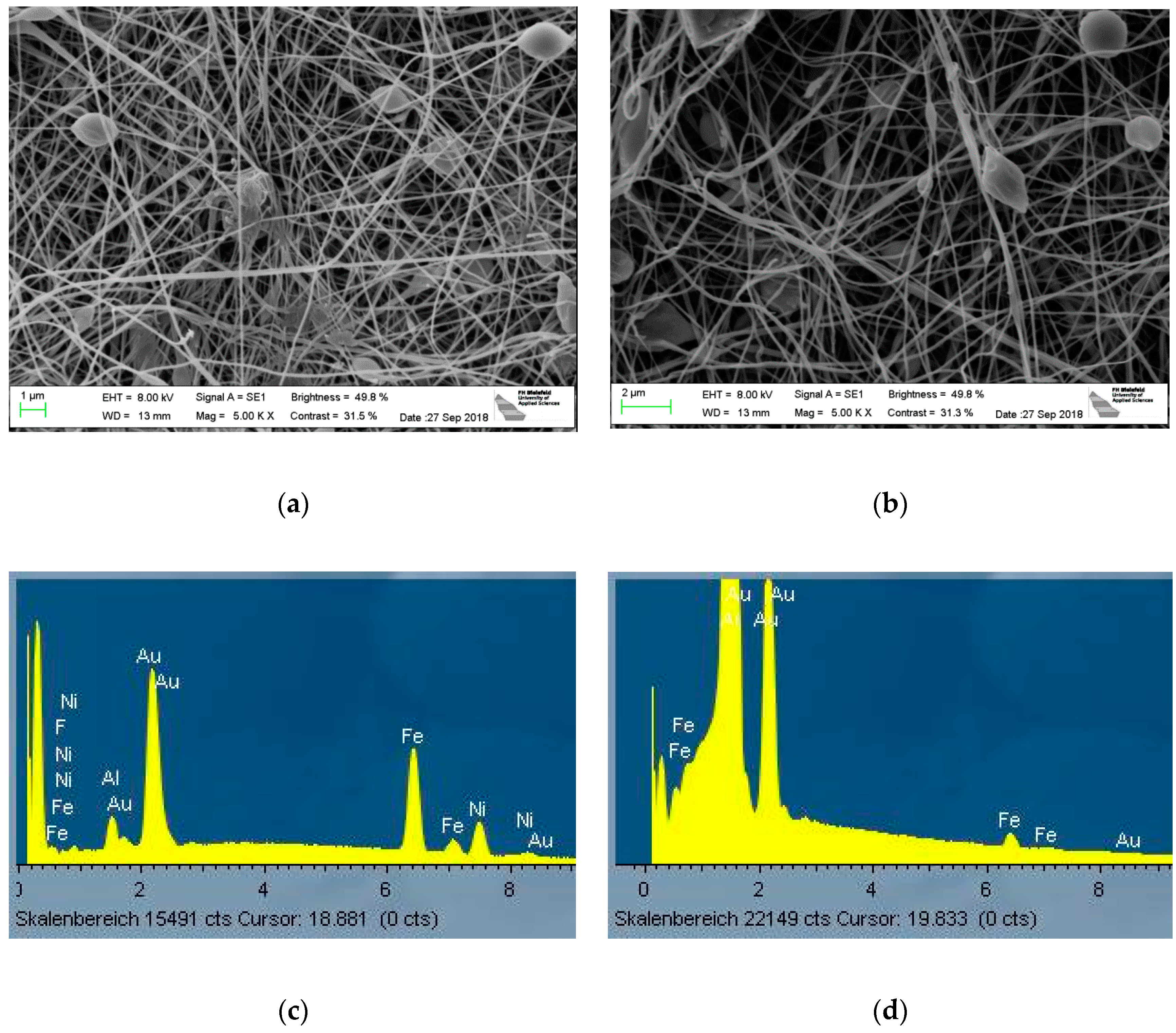 Nanomaterials 09 00092 g007 Nanomaterials 09 00092 g007