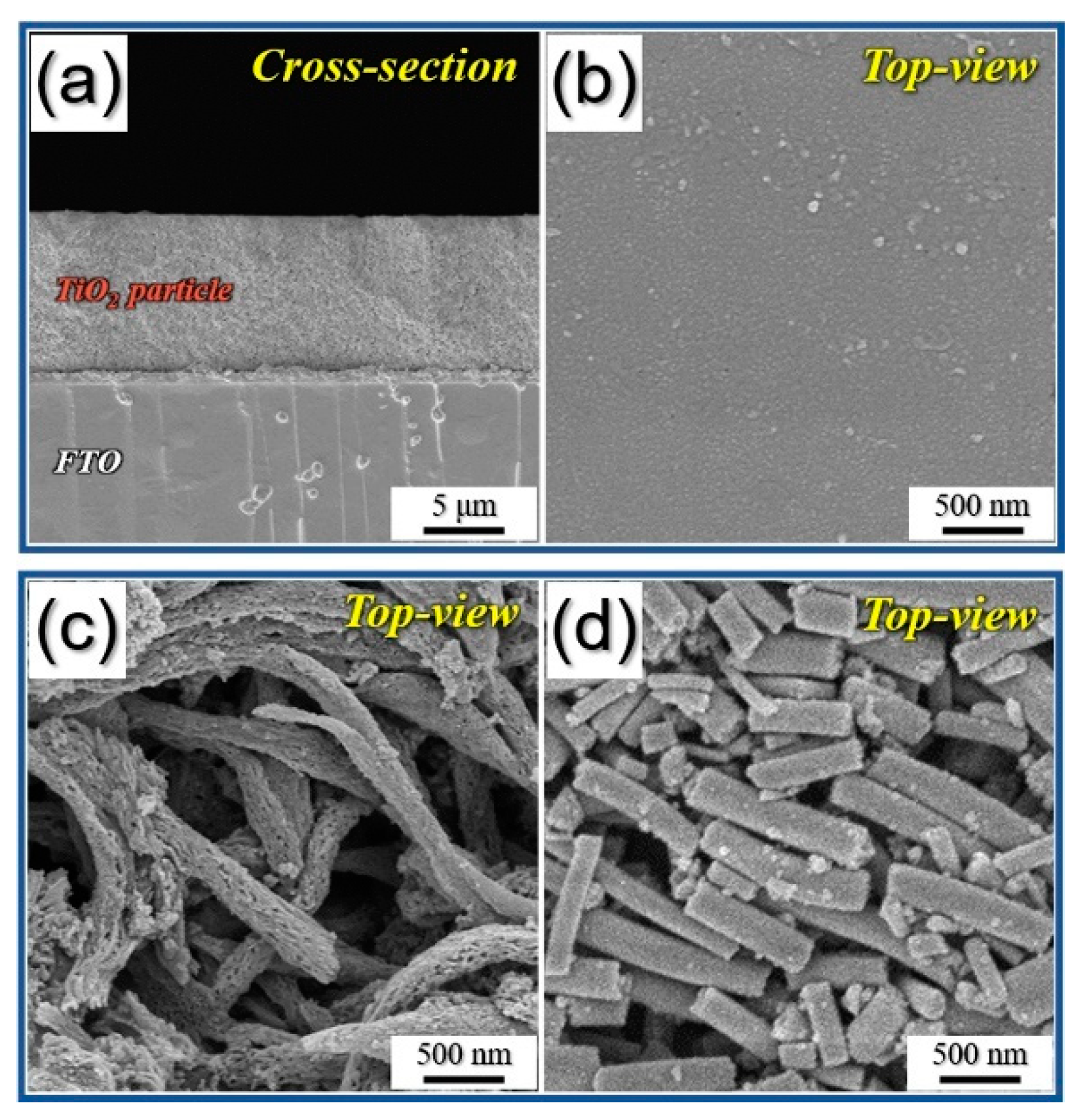 Nanomaterials 09 00095 g002