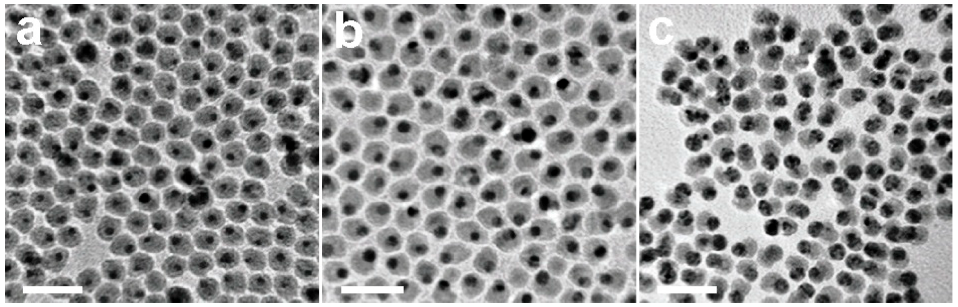 Nanomaterials 09 00097 g001 Nanomaterials 09 00097 g001
