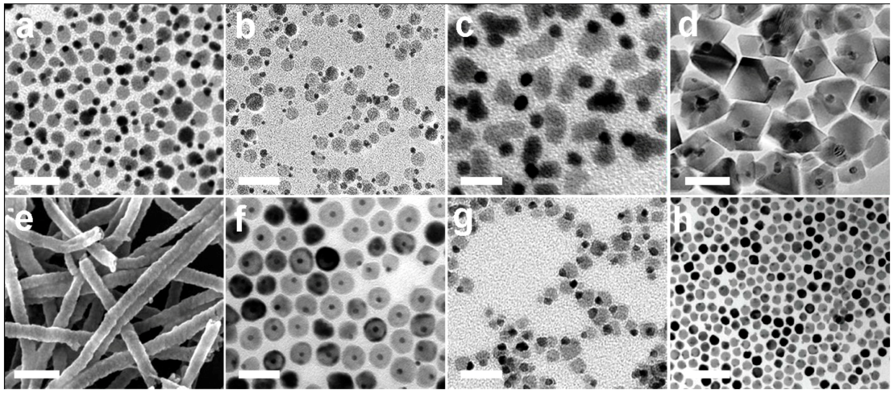 Nanomaterials 09 00097 g002 Nanomaterials 09 00097 g002