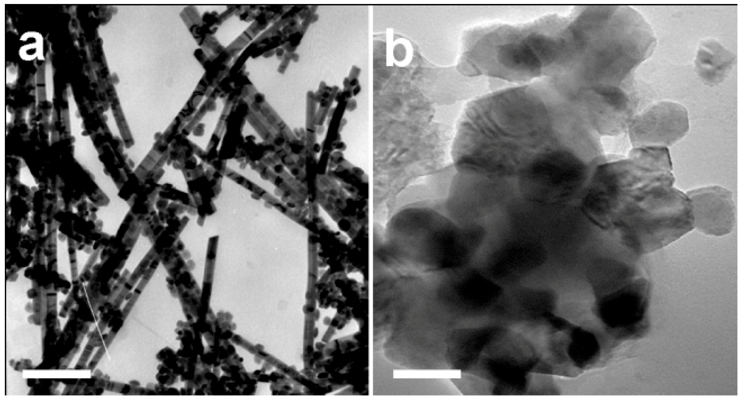 Nanomaterials 09 00097 g003 Nanomaterials 09 00097 g003