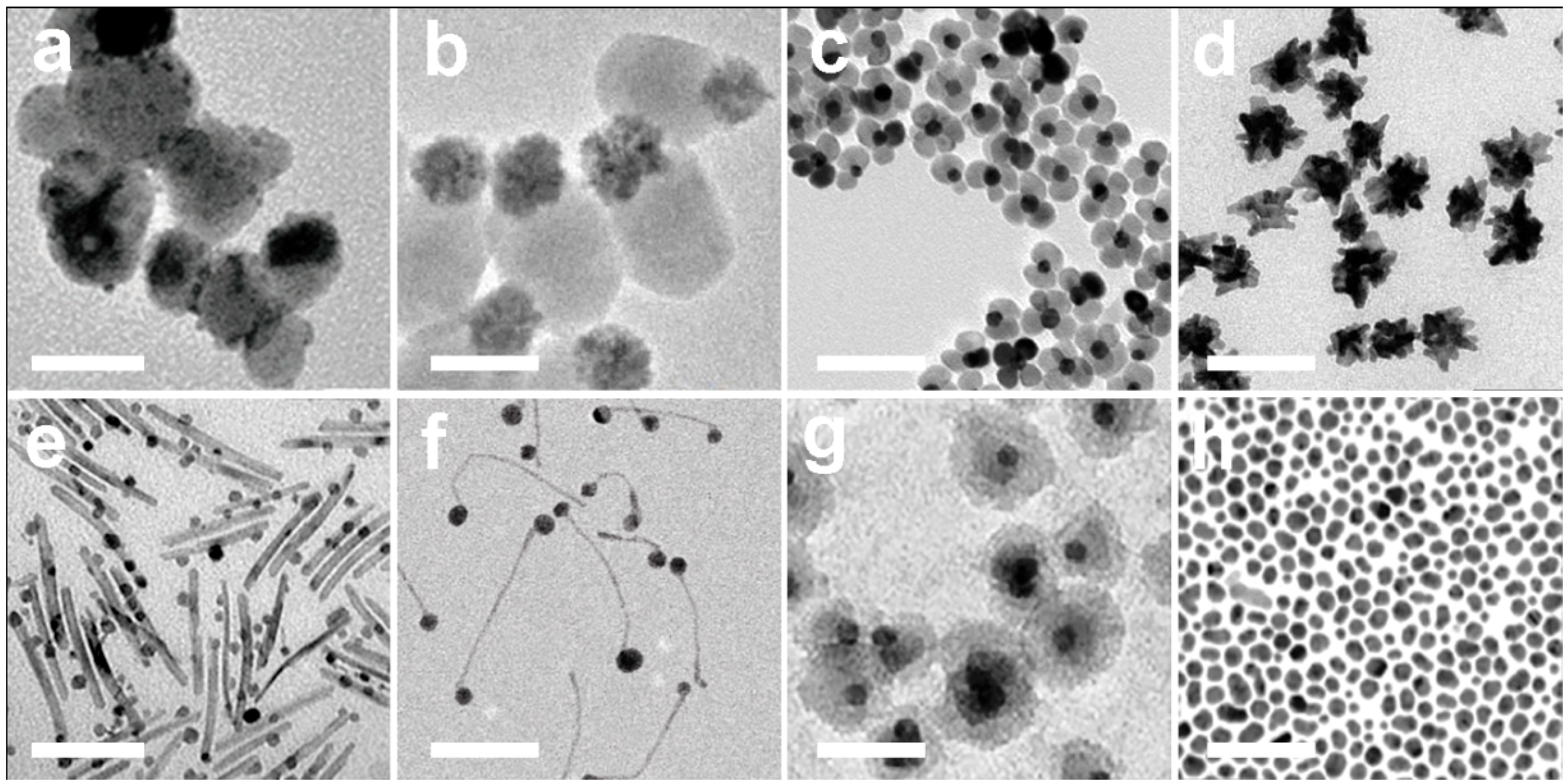 Nanomaterials 09 00097 g004 Nanomaterials 09 00097 g004