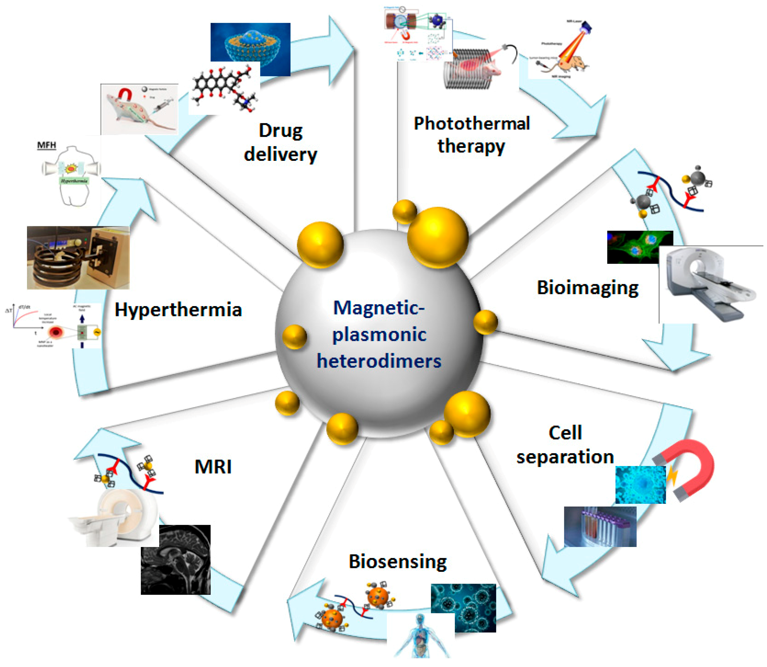 Nanomaterials 09 00097 sch001 Nanomaterials 09 00097 sch001