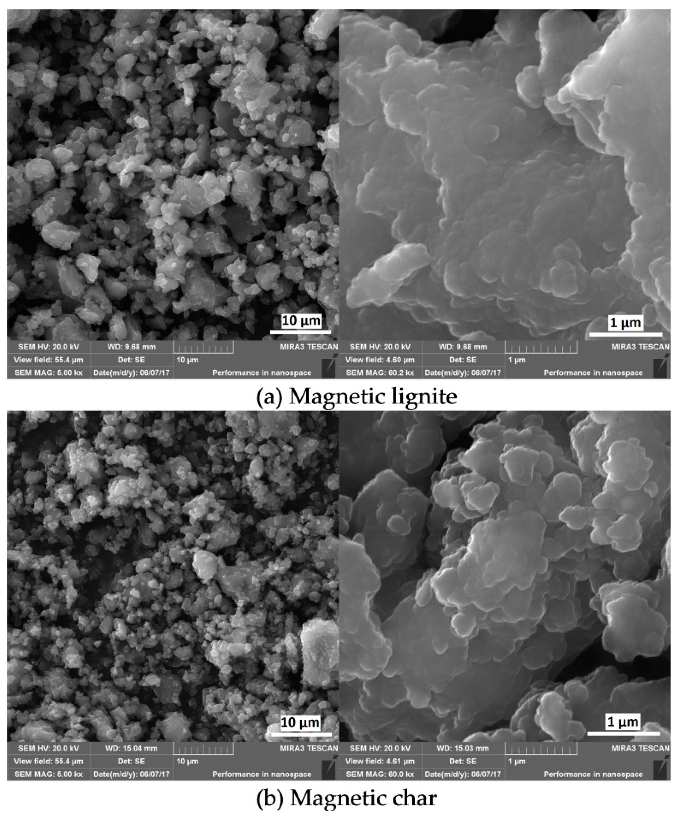 Nanomaterials 09 00100 g001