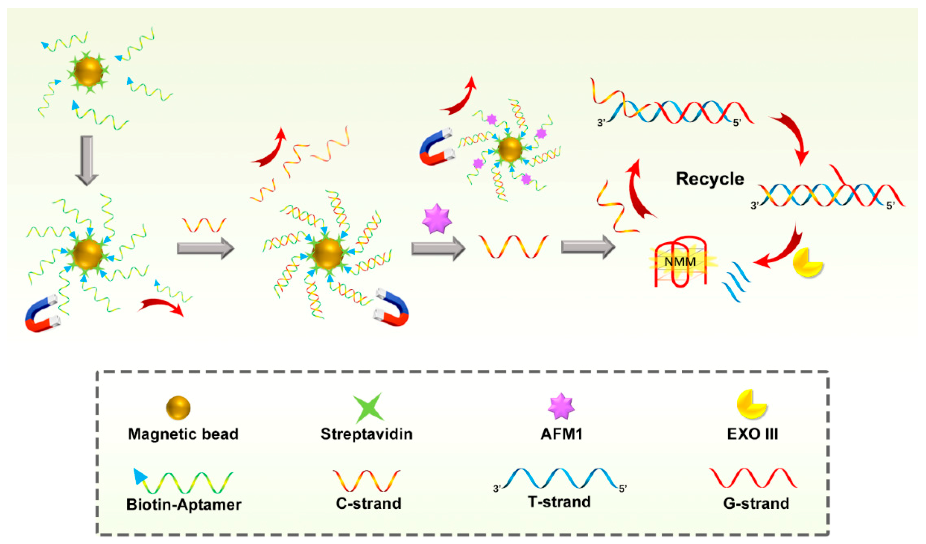 Nanomaterials 09 00104 g001 Nanomaterials 09 00104 g001