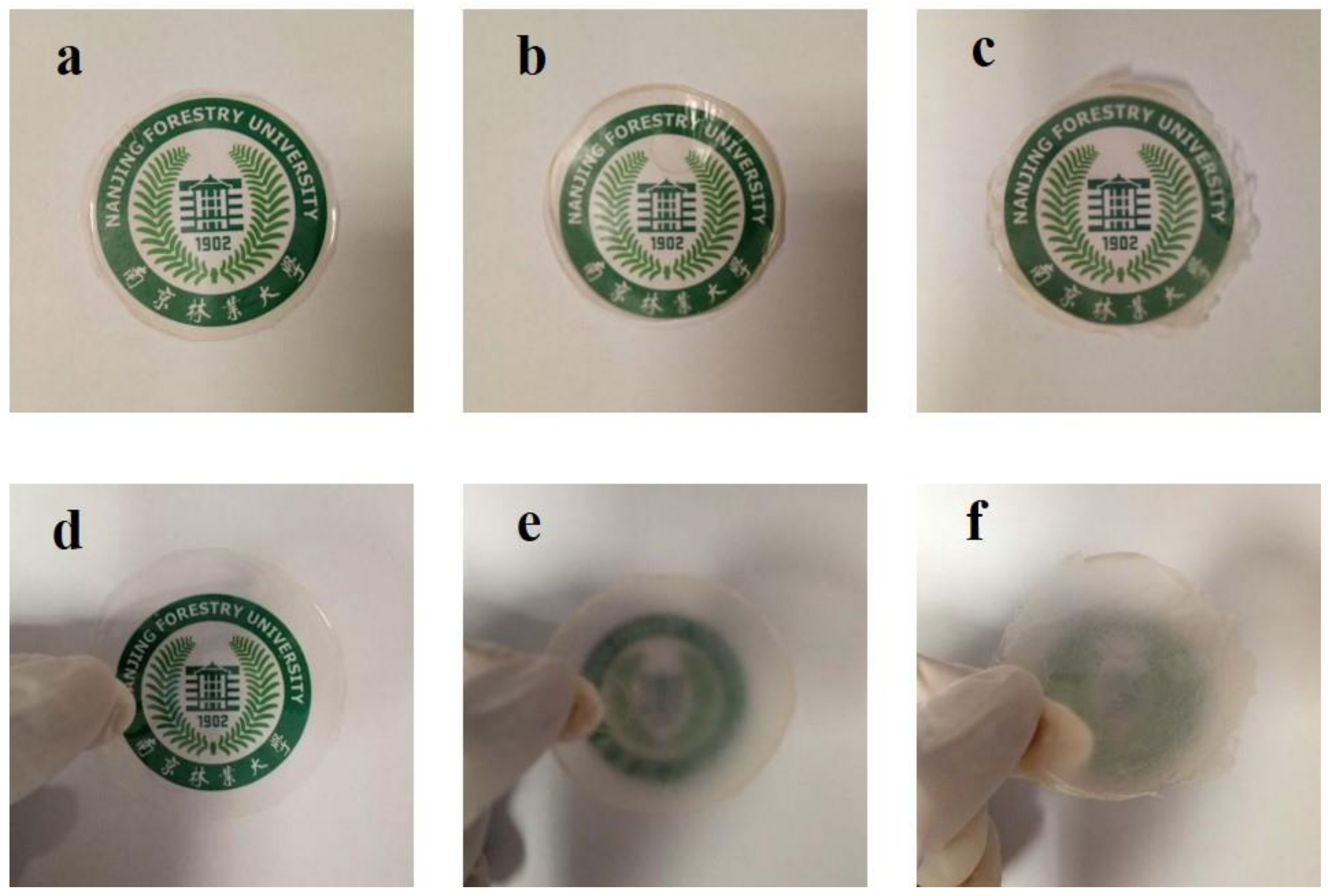 Nanomaterials 09 00107 g001 Nanomaterials 09 00107 g001