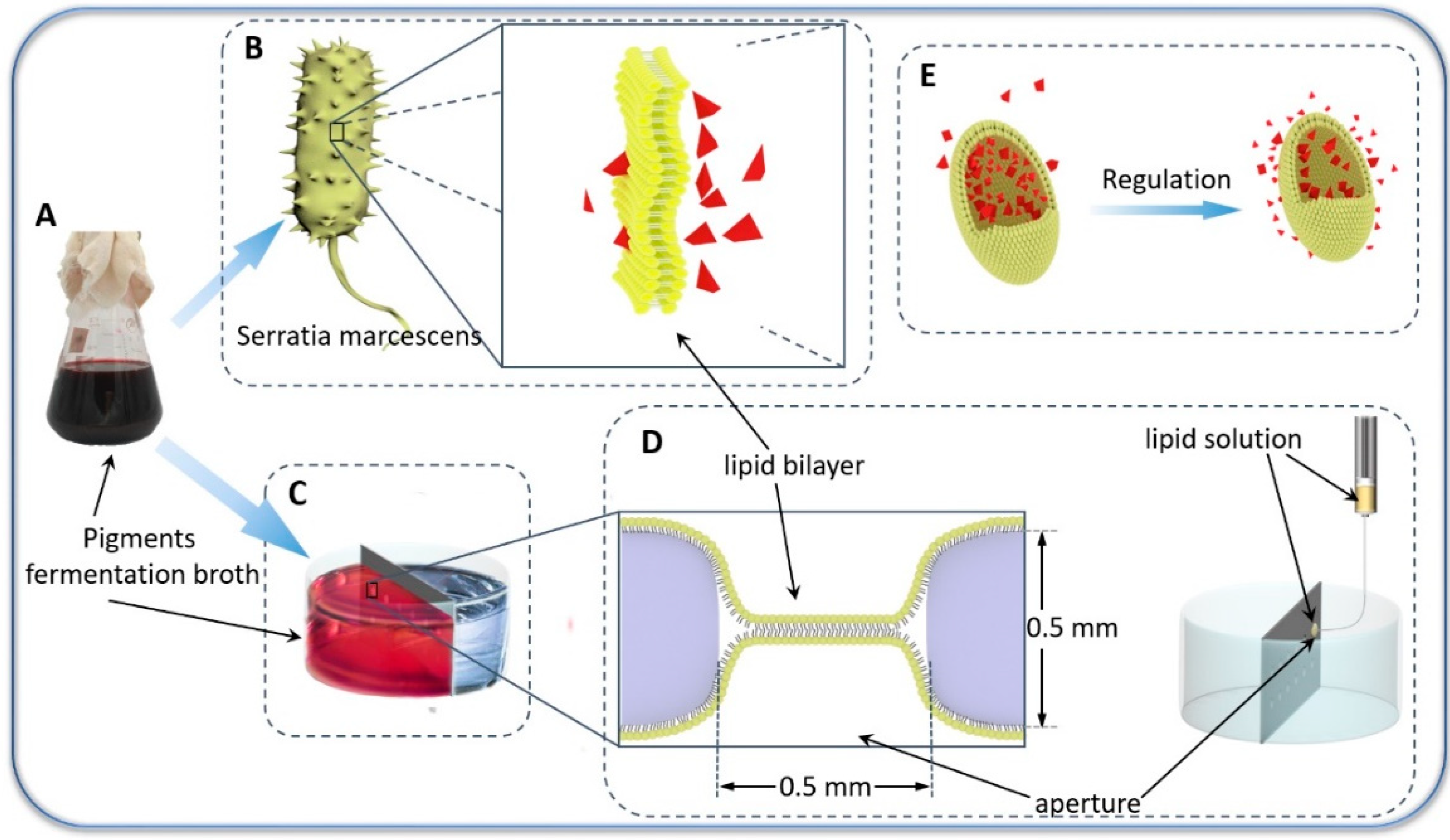 Nanomaterials 09 00114 g001