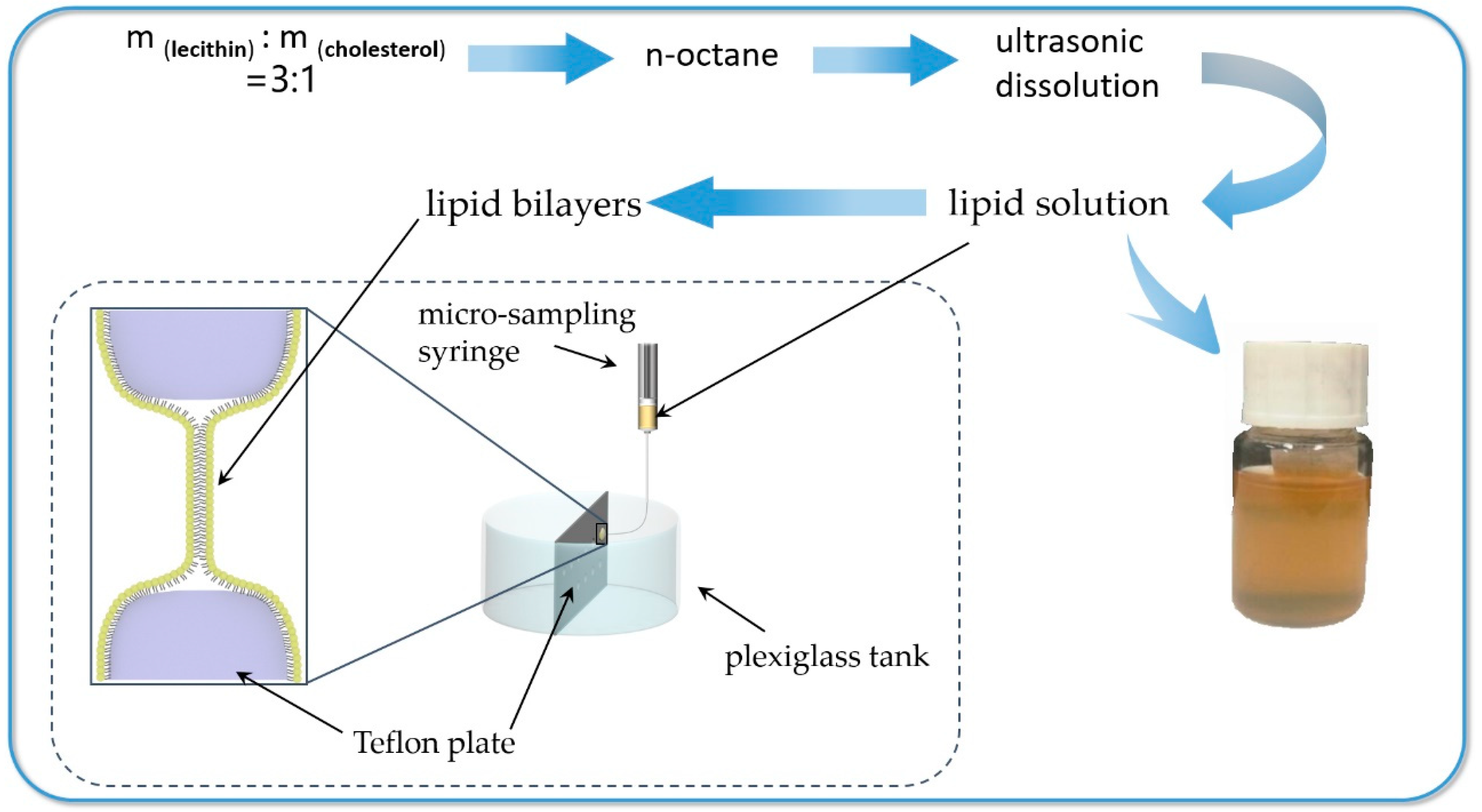Nanomaterials 09 00114 g002
