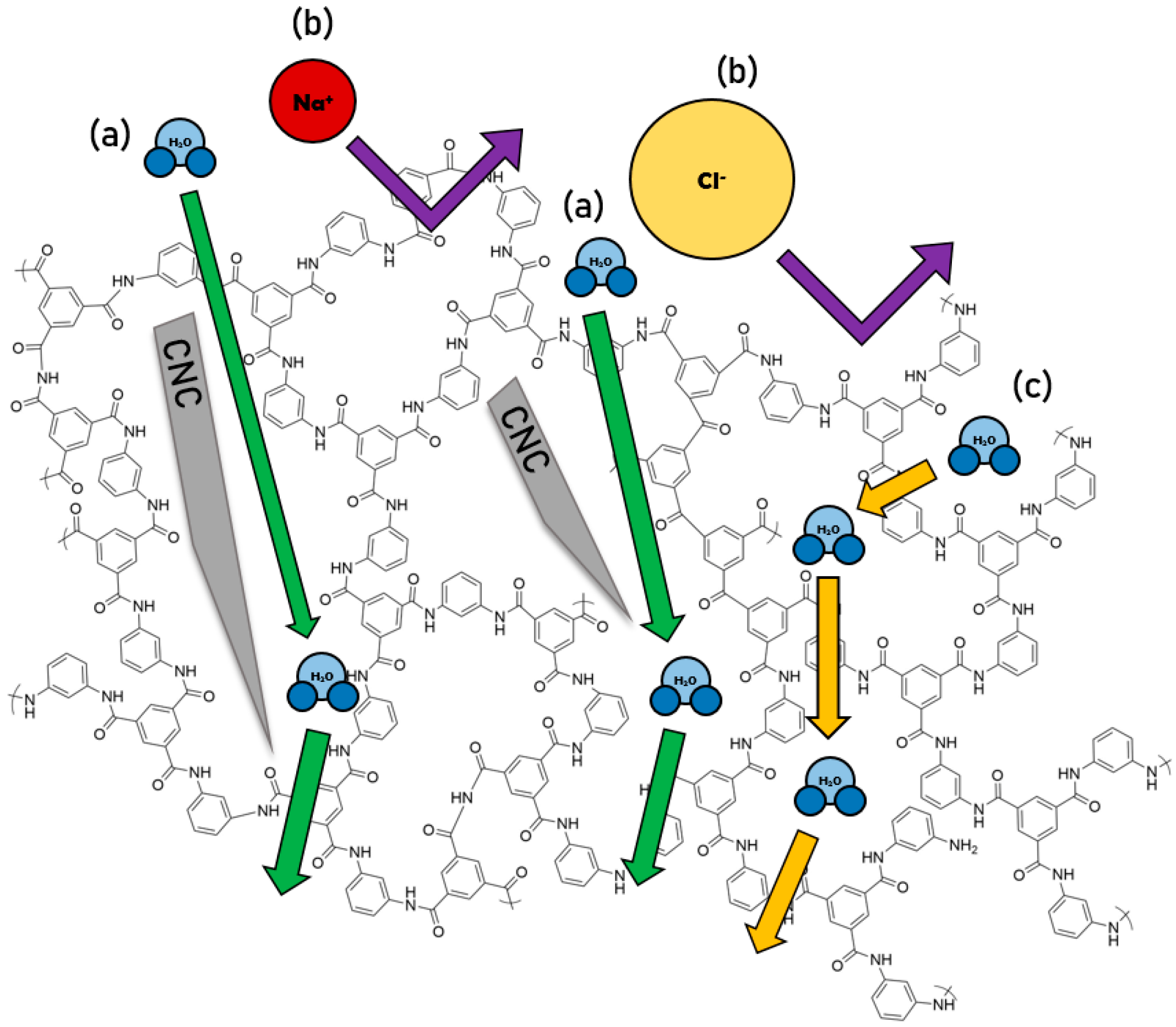Nanomaterials 09 00125 g002 Nanomaterials 09 00125 g002