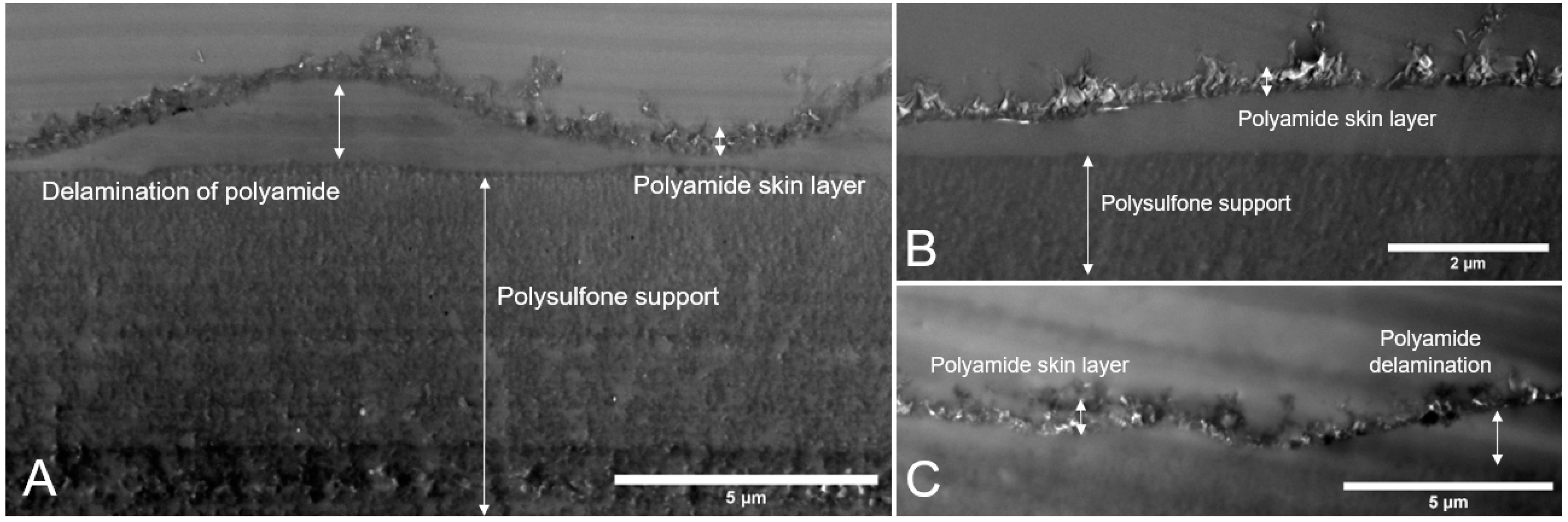 Nanomaterials 09 00125 g006 Nanomaterials 09 00125 g006