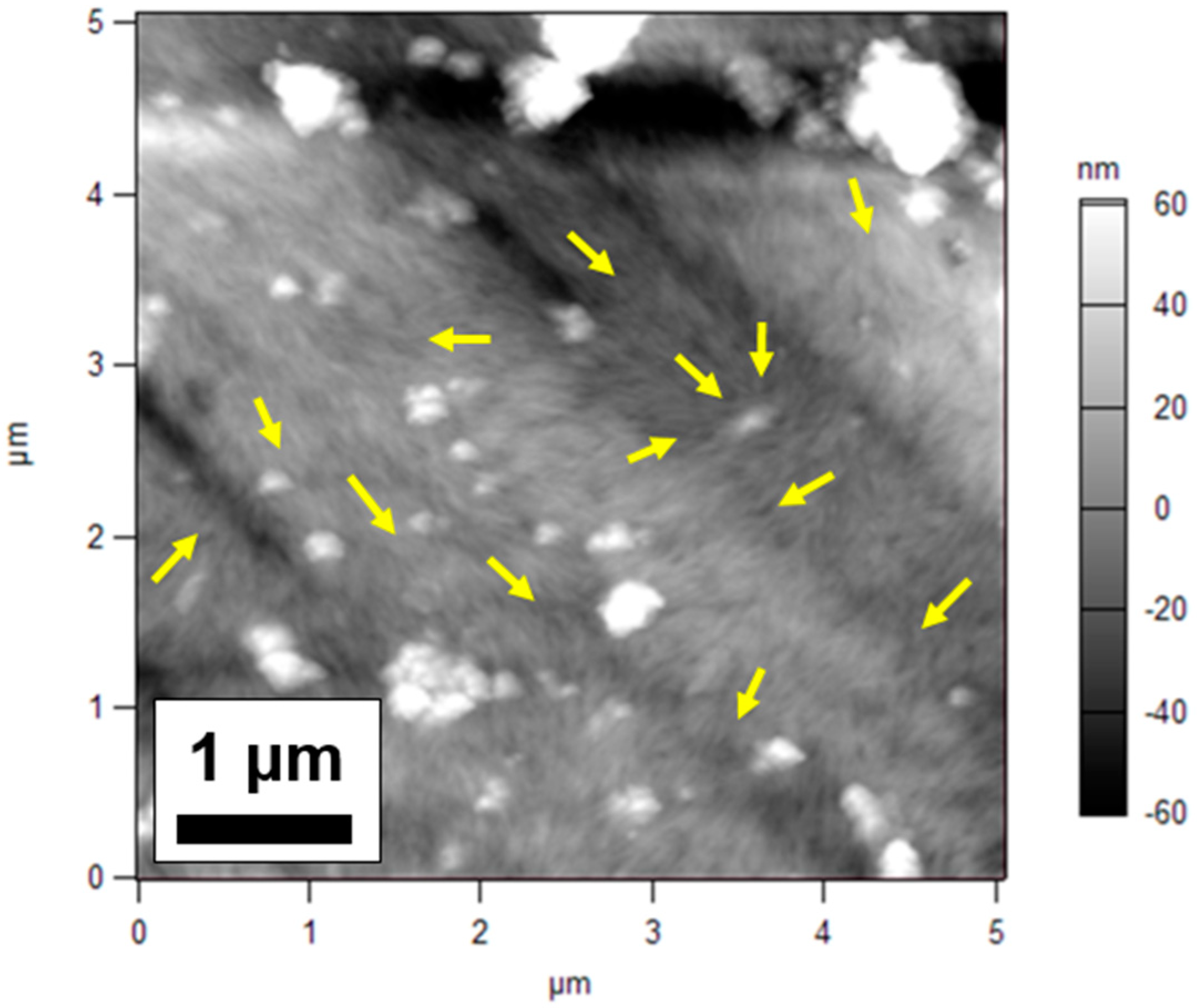 Nanomaterials 09 00125 g007 Nanomaterials 09 00125 g007