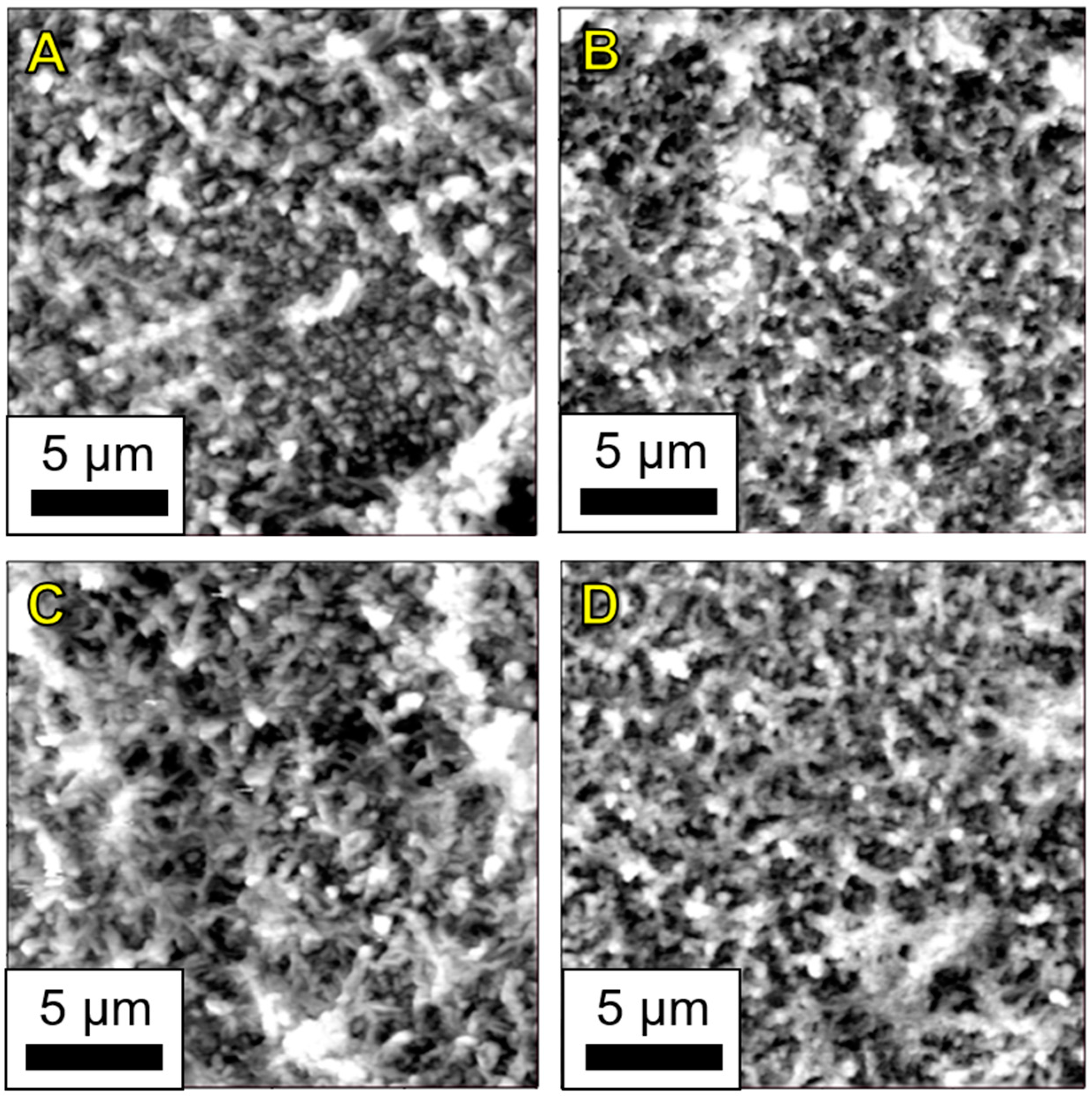 Nanomaterials 09 00125 g009 Nanomaterials 09 00125 g009