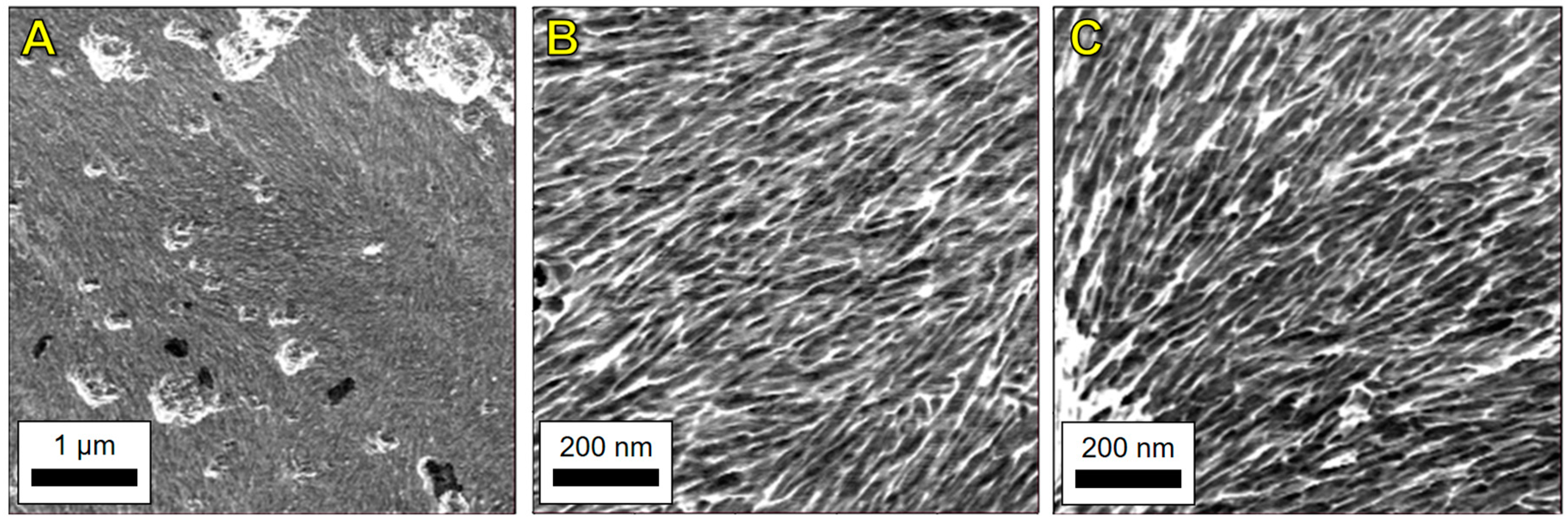 Nanomaterials 09 00125 g0a5 Nanomaterials 09 00125 g0a5