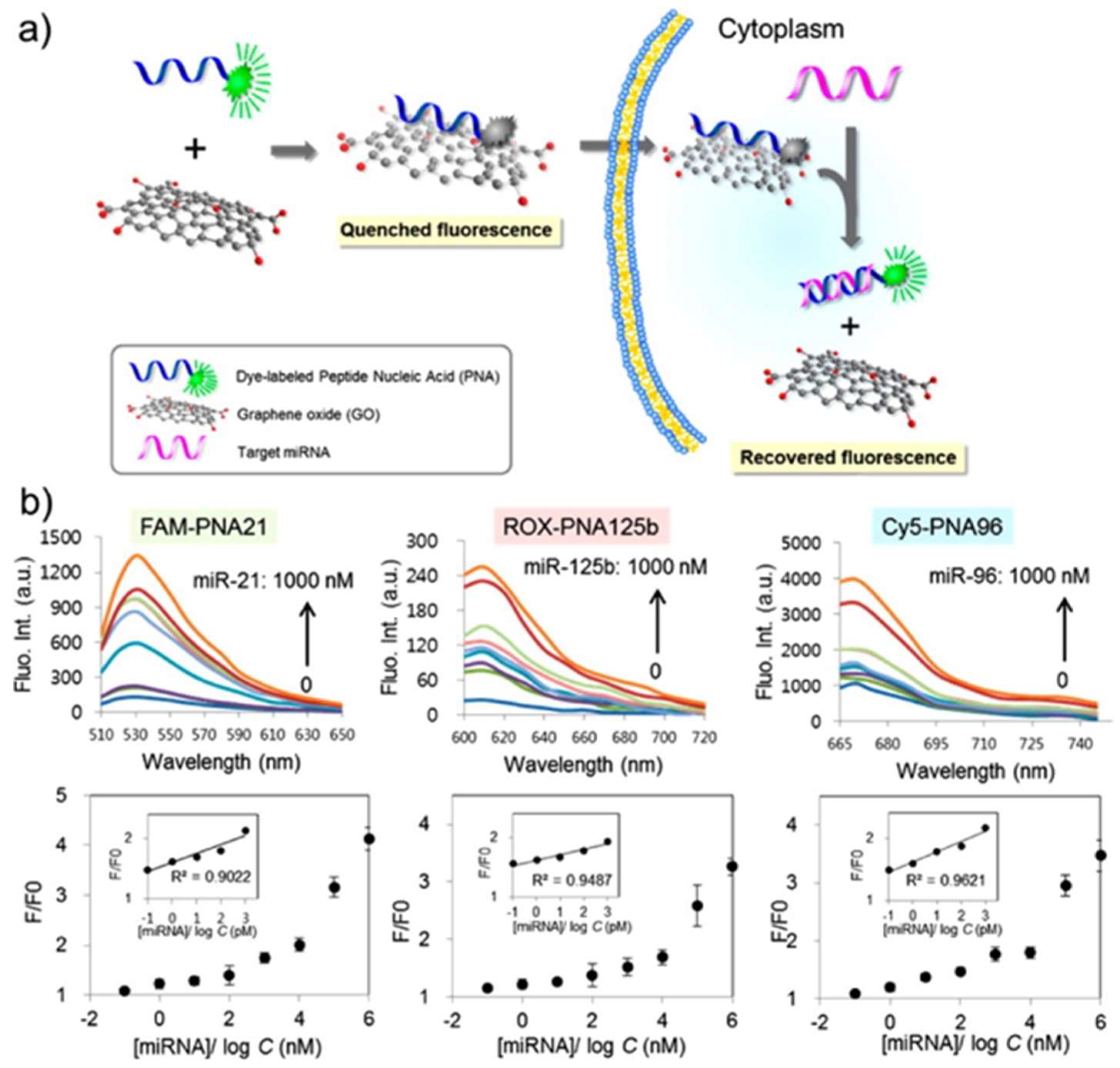 Nanomaterials 09 00130 g006