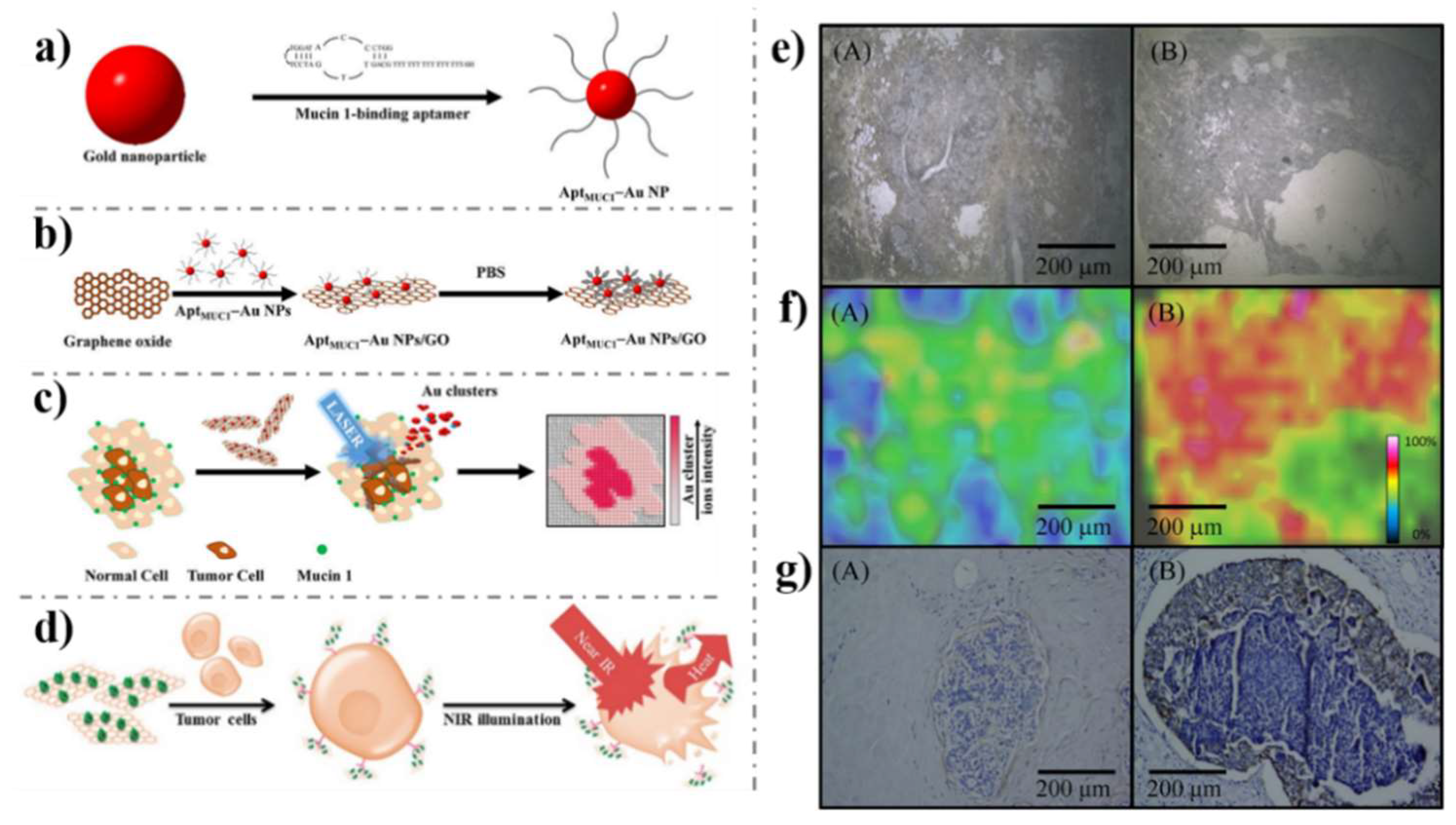 Nanomaterials 09 00130 g009