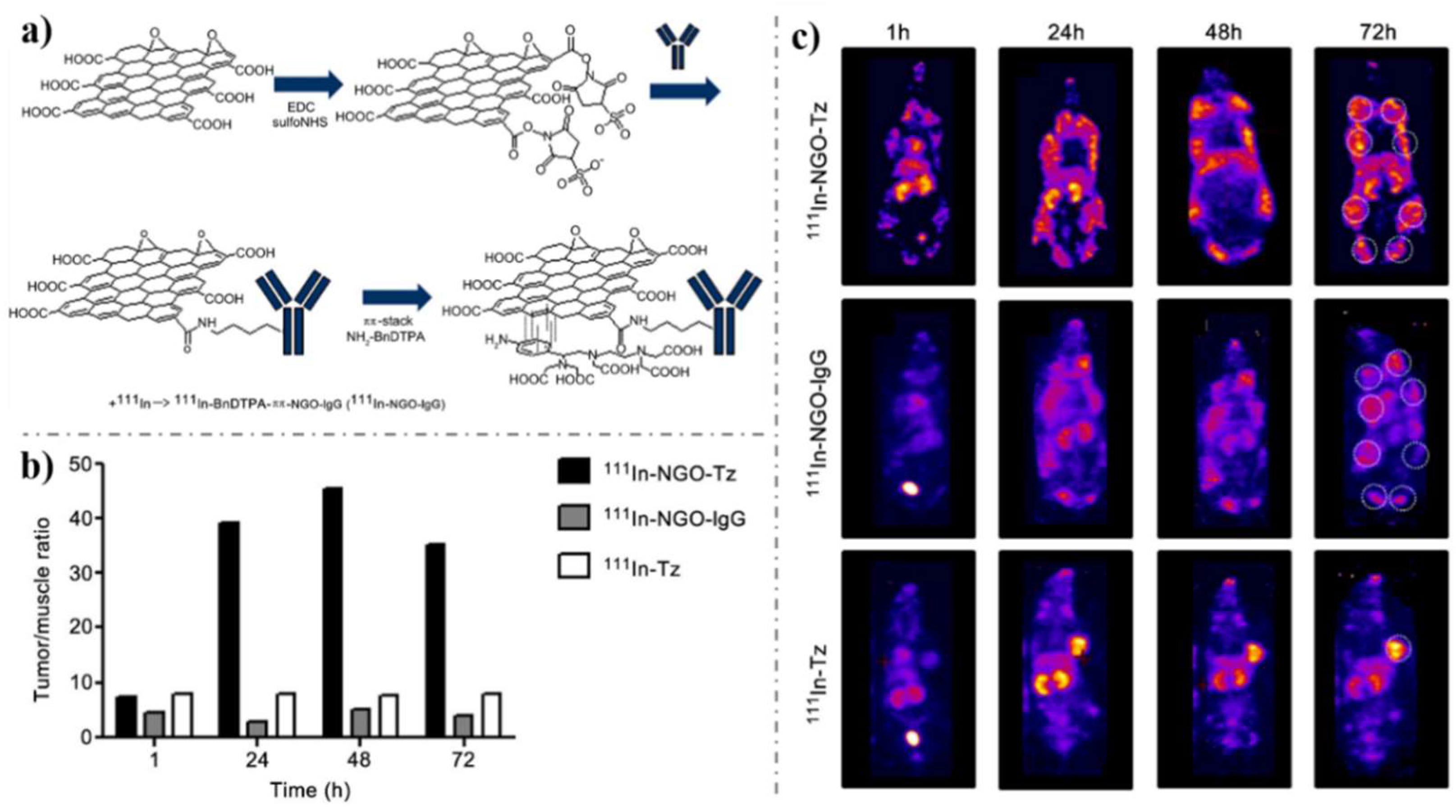 Nanomaterials 09 00130 g010