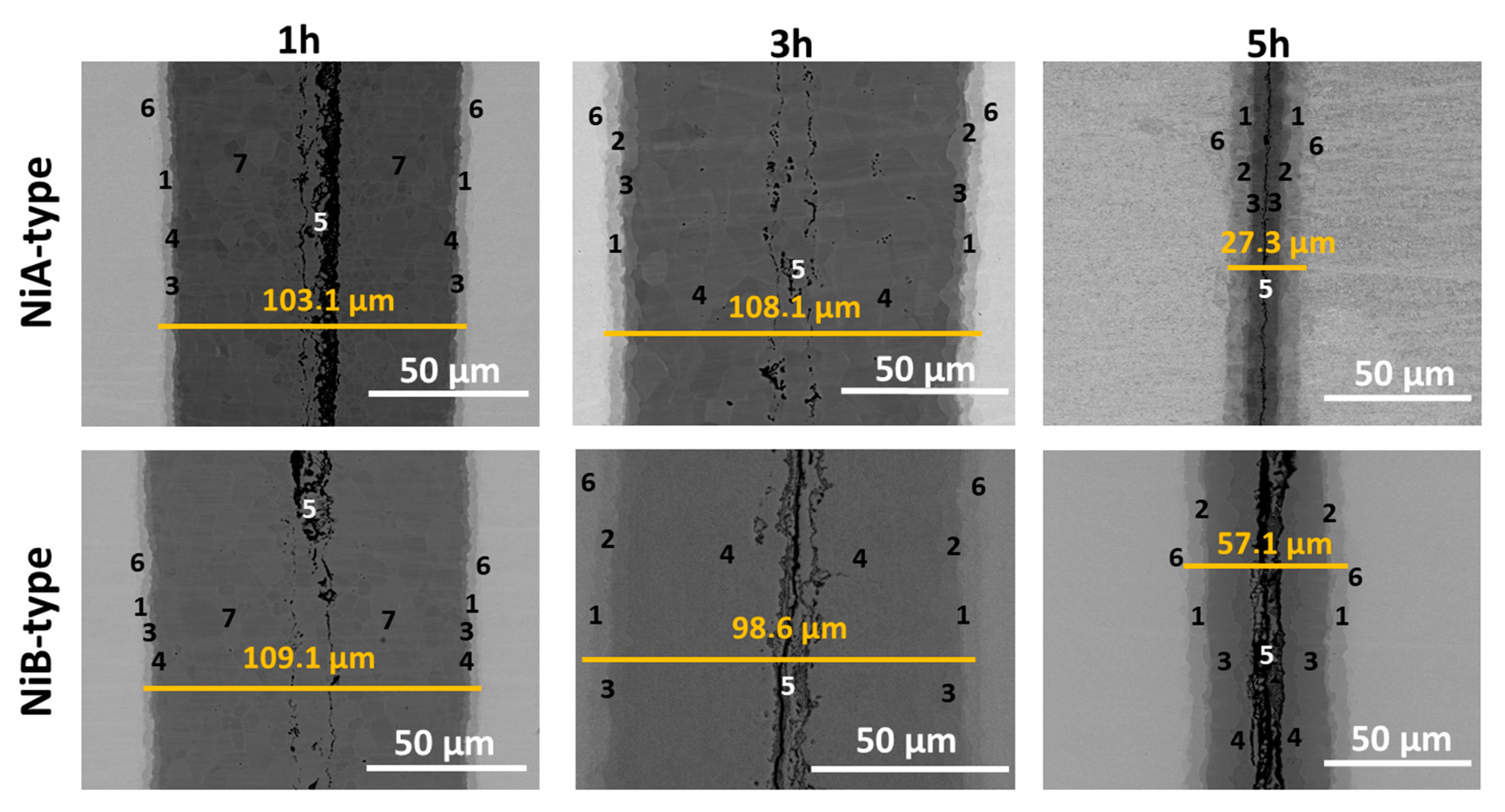Nanomaterials 09 00134 g005 Nanomaterials 09 00134 g005