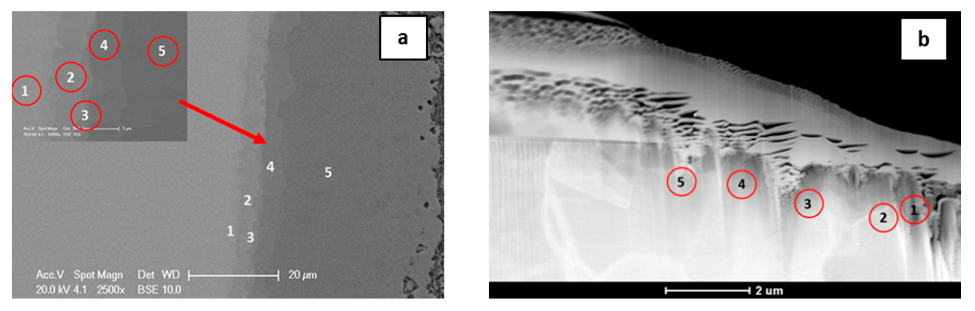 Nanomaterials 09 00134 g011 Nanomaterials 09 00134 g011