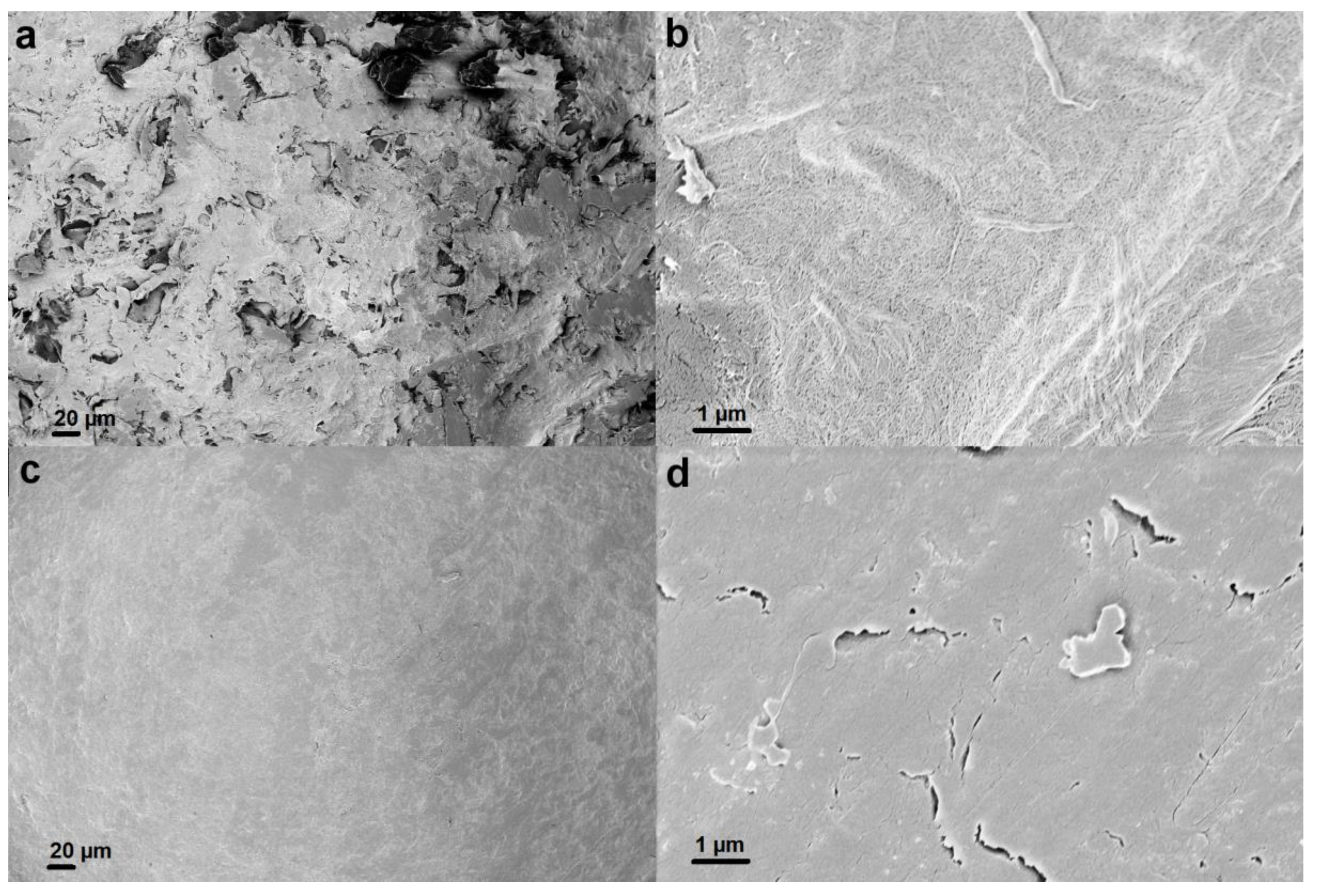 Nanomaterials 09 00136 g002