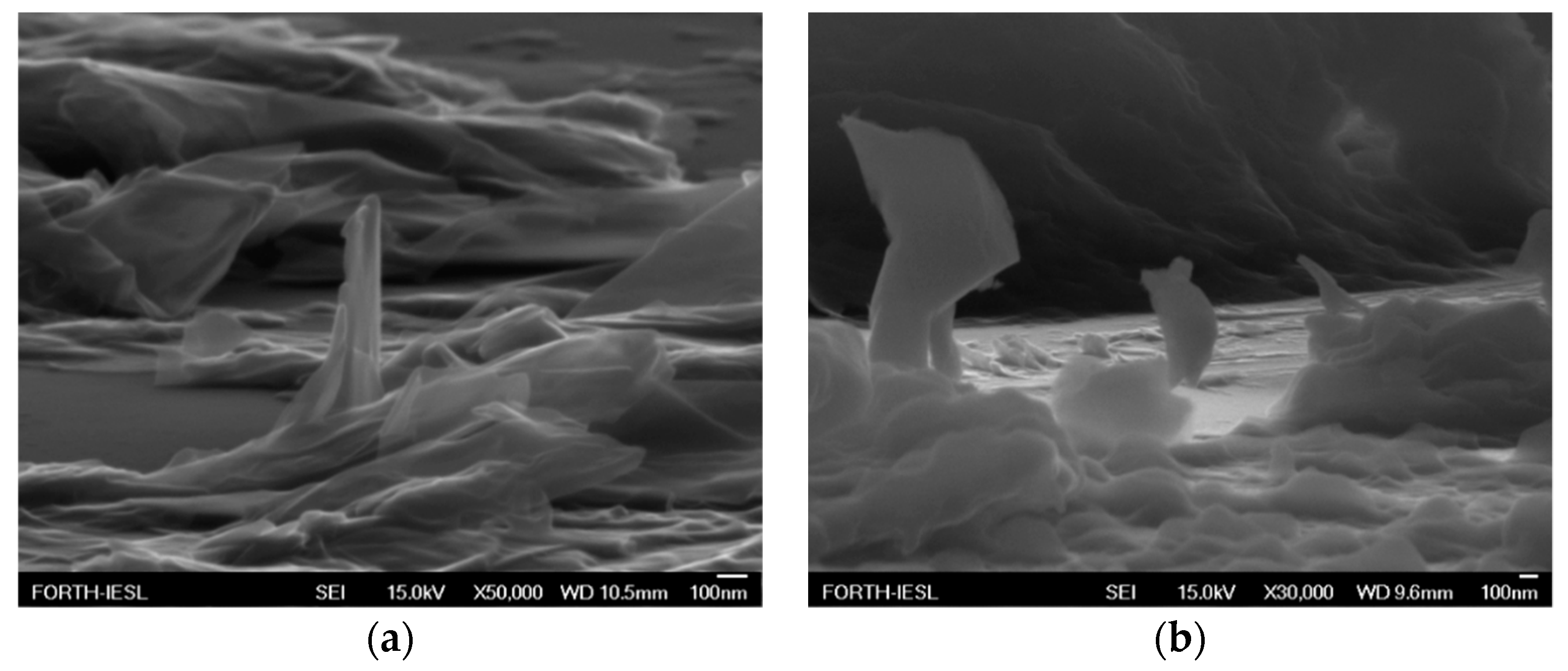 Nanomaterials 09 00137 g009