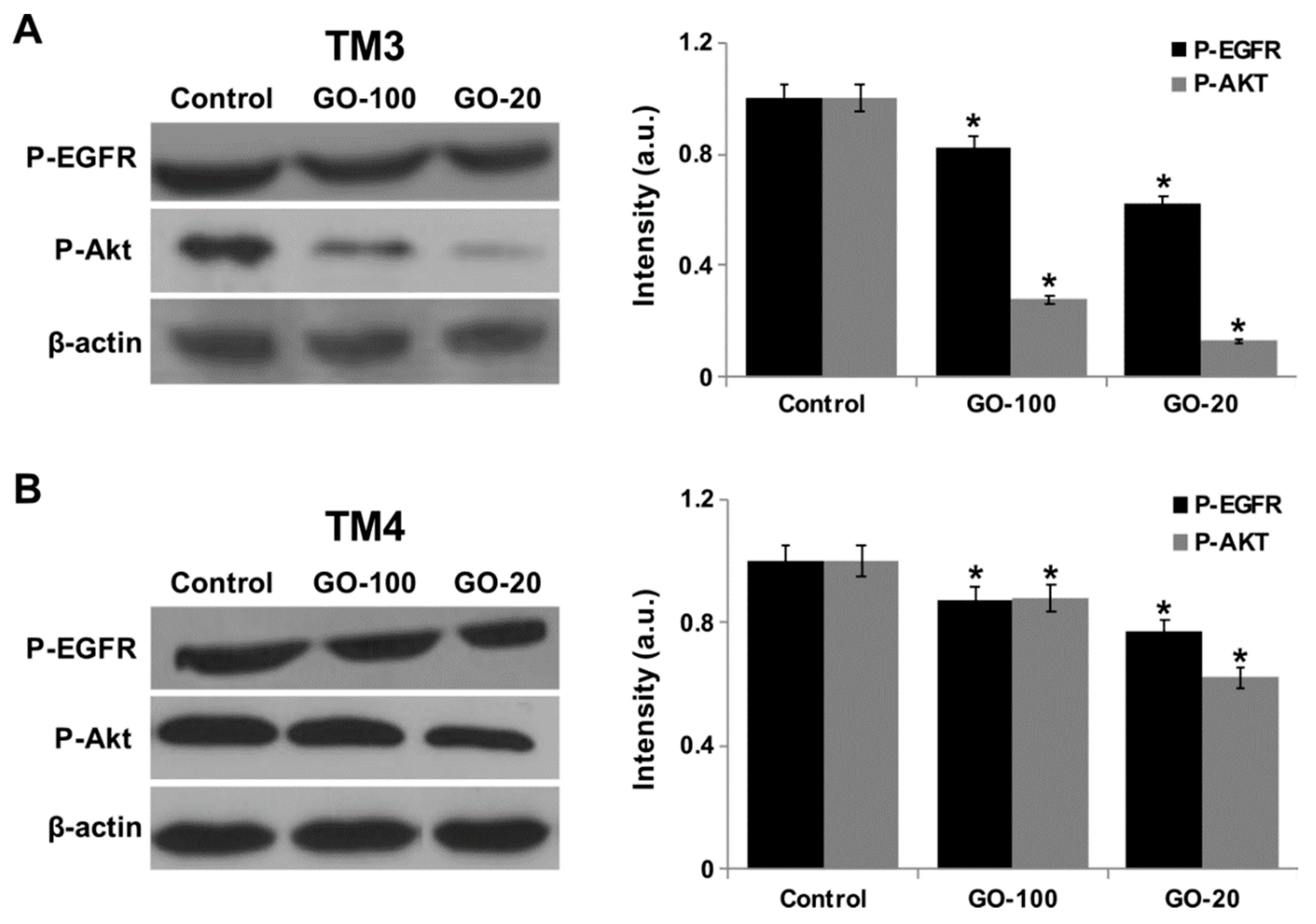 Nanomaterials 09 00139 g009 Nanomaterials 09 00139 g009