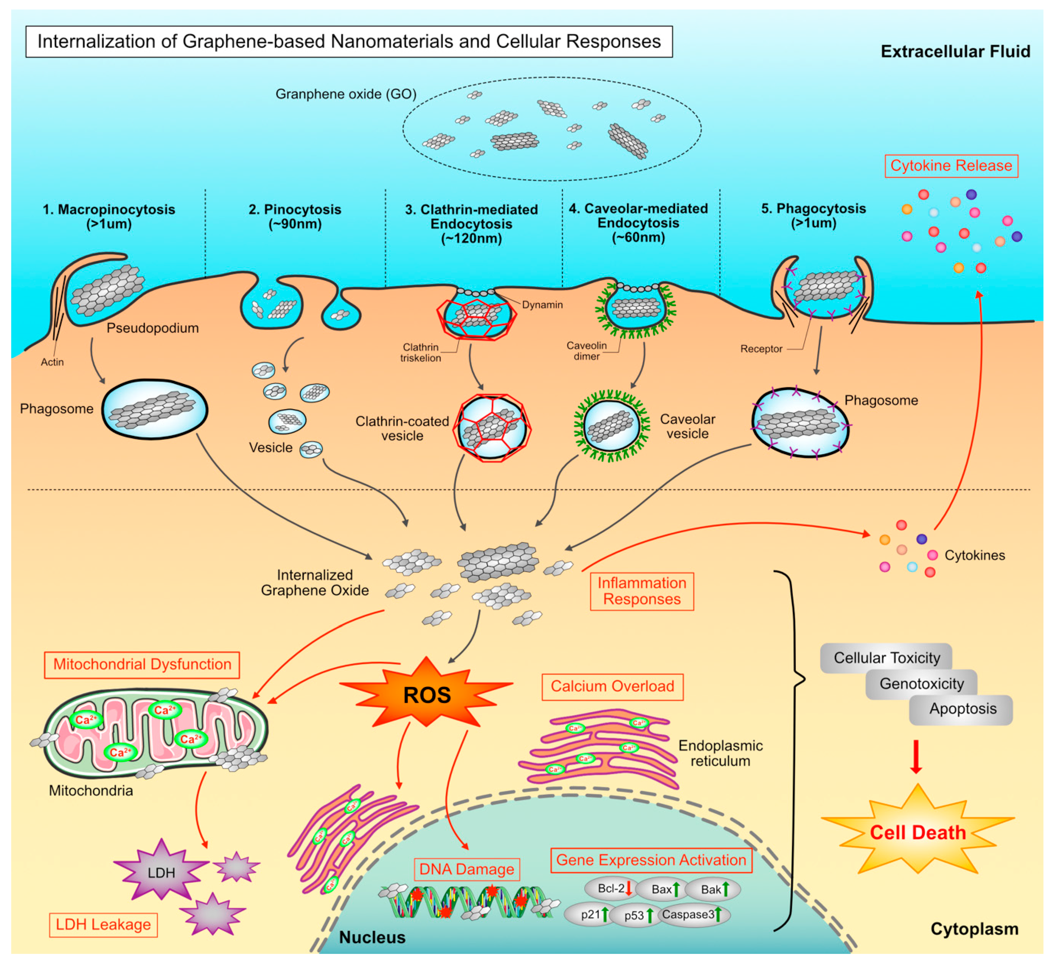 Nanomaterials 09 00139 g010 Nanomaterials 09 00139 g010
