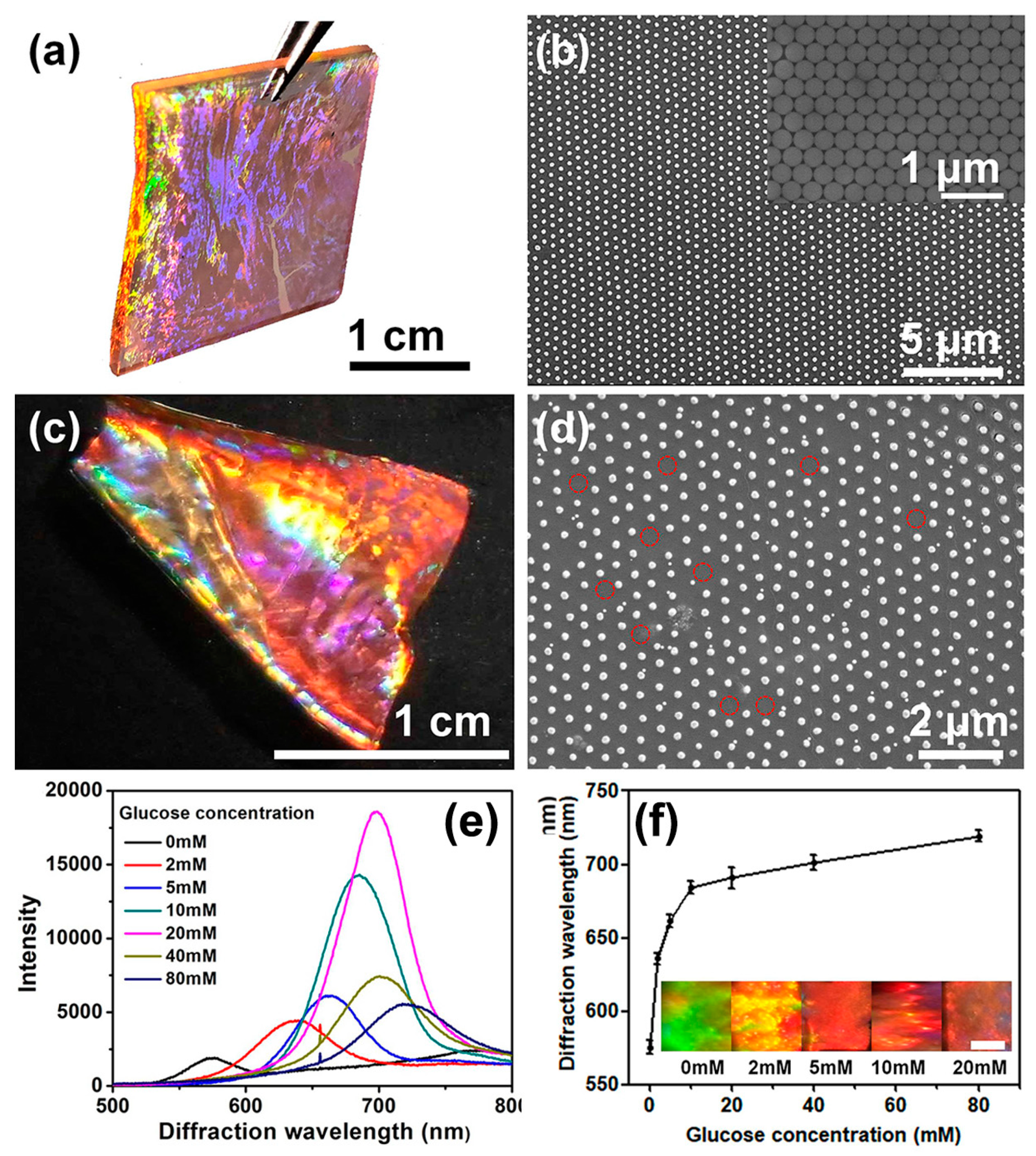 Nanomaterials 09 00140 g002