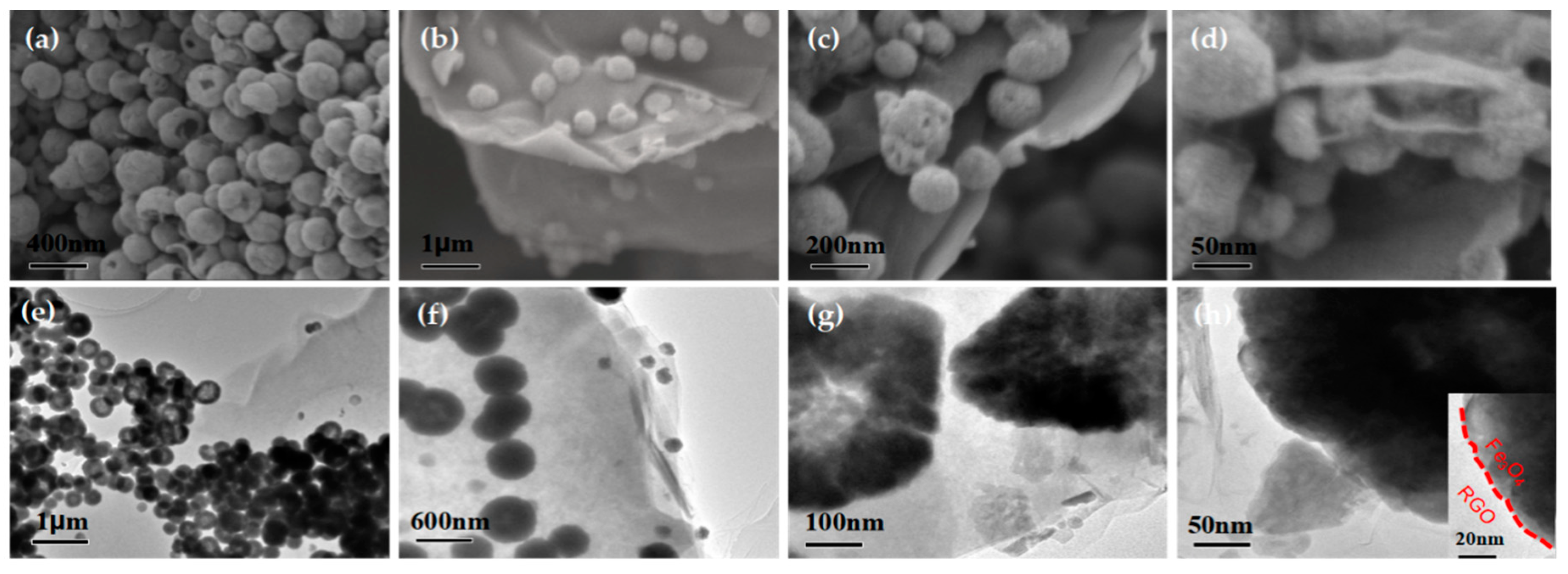 Nanomaterials 09 00141 g004