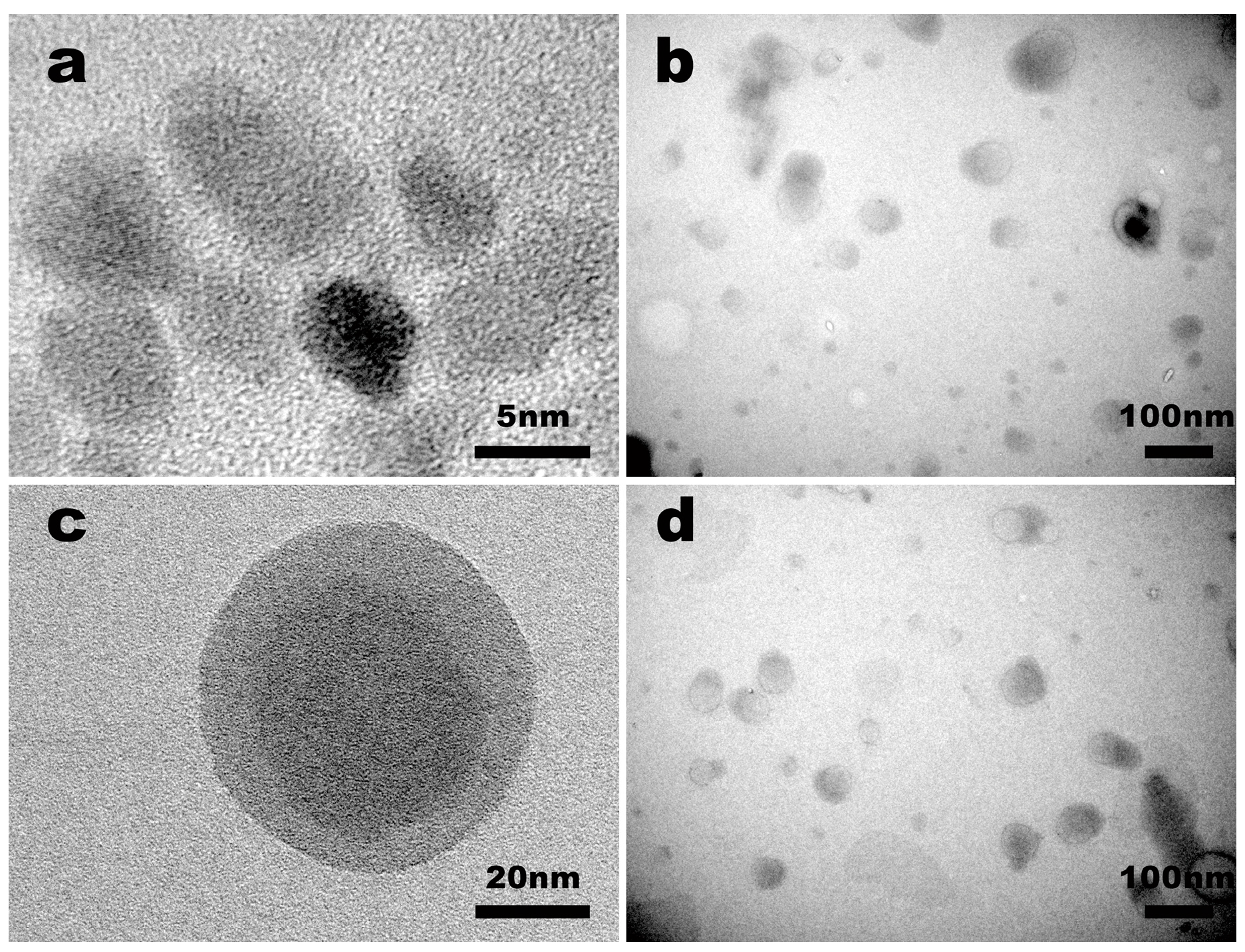Nanomaterials 09 00147 g003