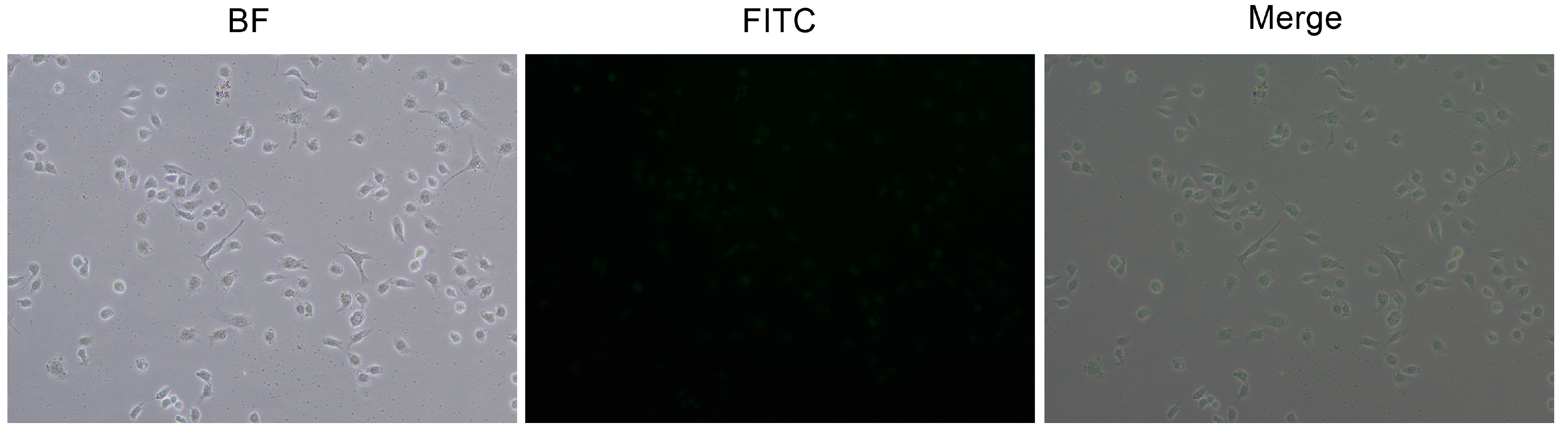 Nanomaterials 09 00147 g009