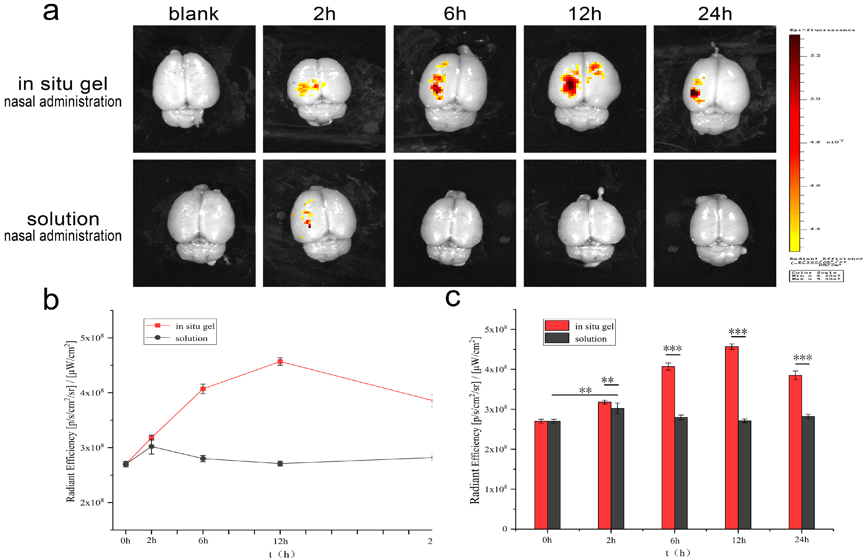 Nanomaterials 09 00147 g010