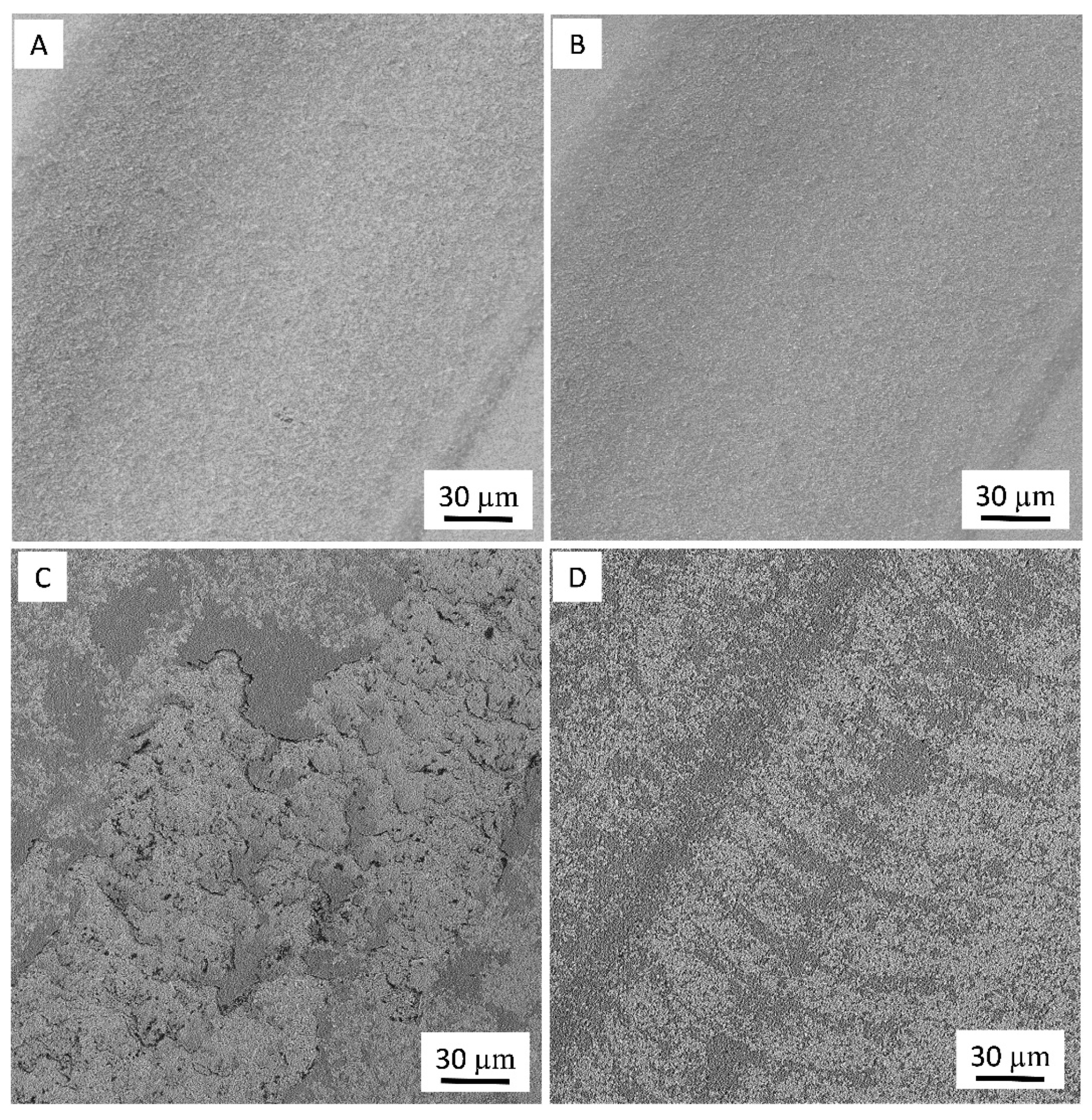 Nanomaterials 09 00151 g007