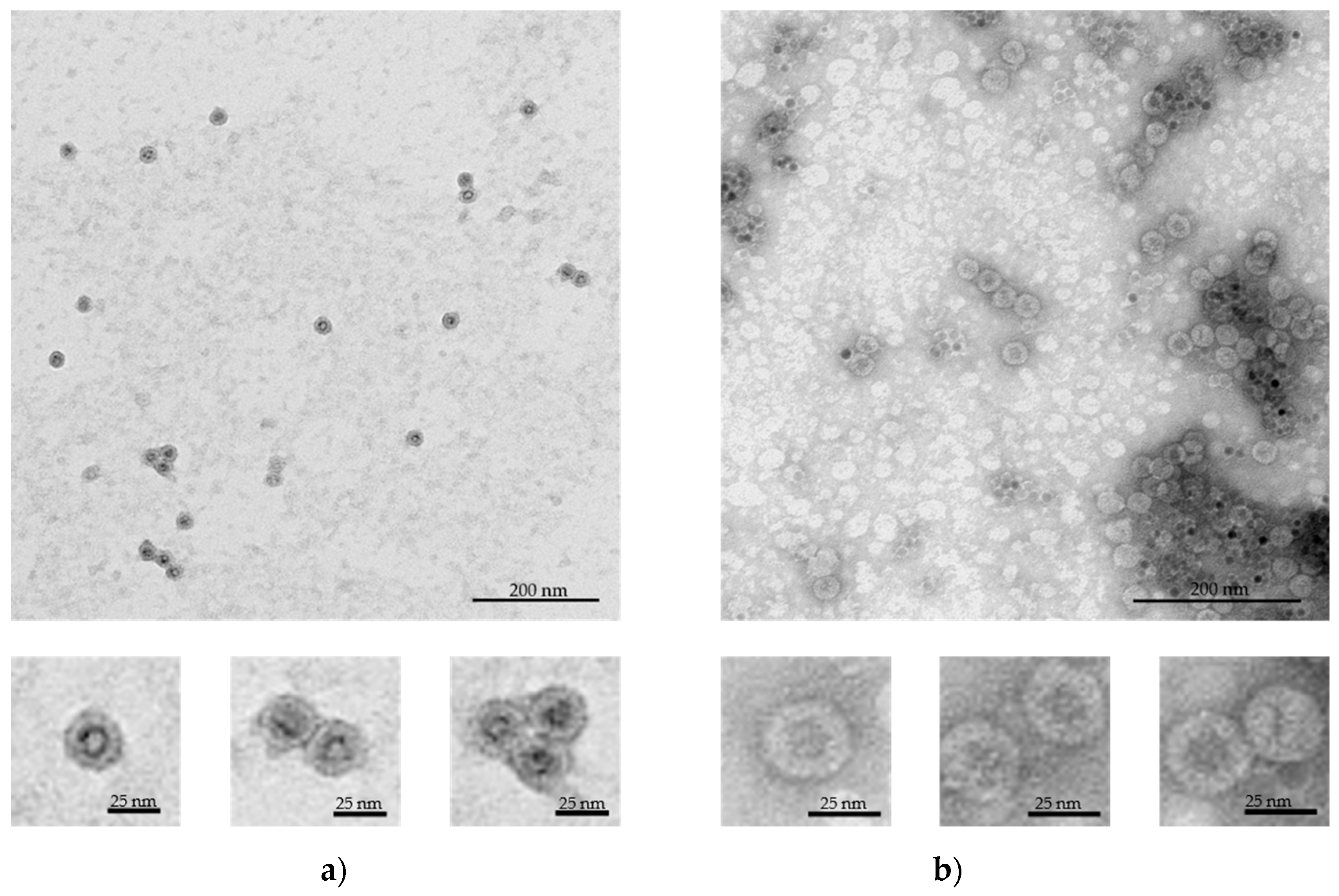 Nanomaterials 09 00155 g002