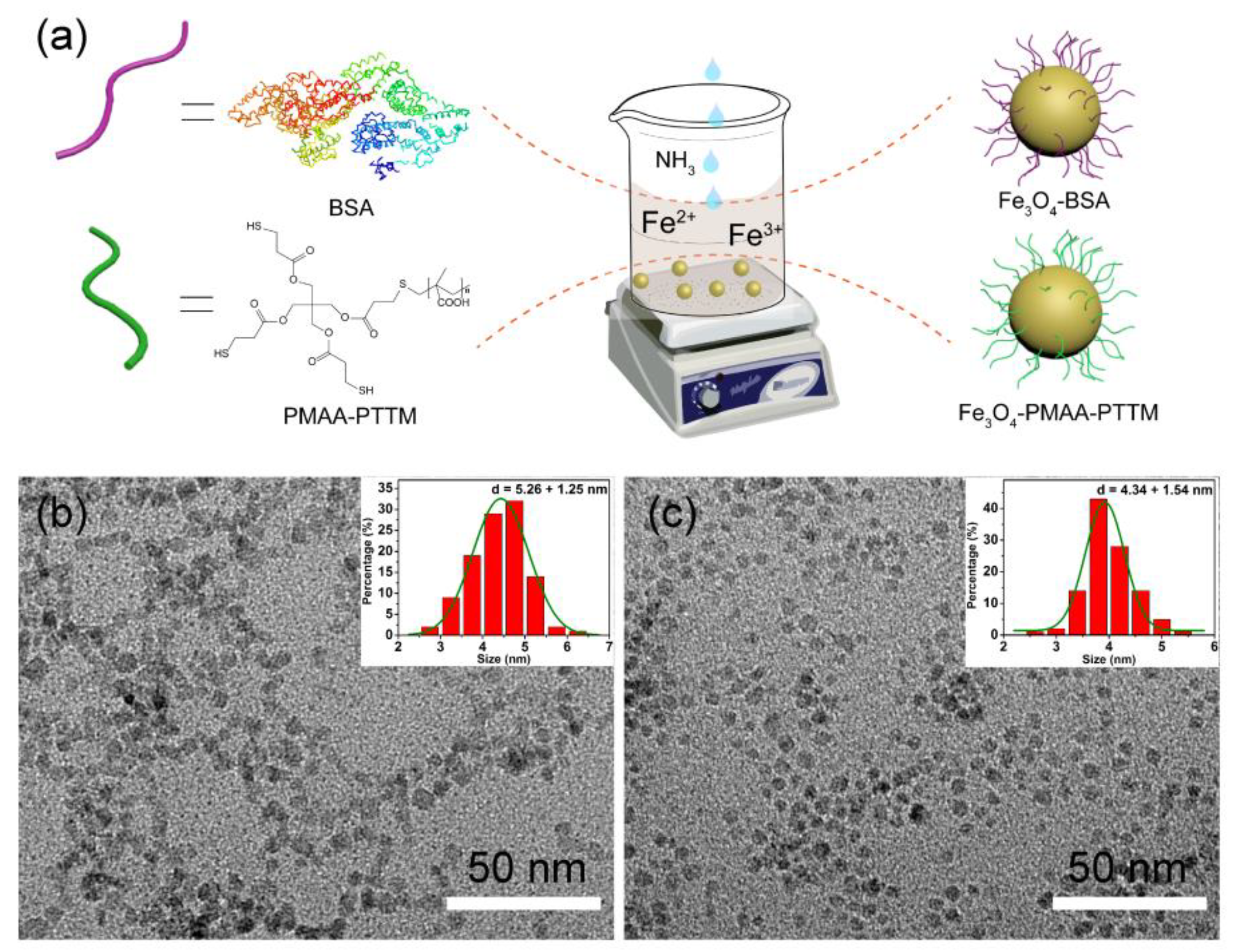 Nanomaterials 09 00170 g001