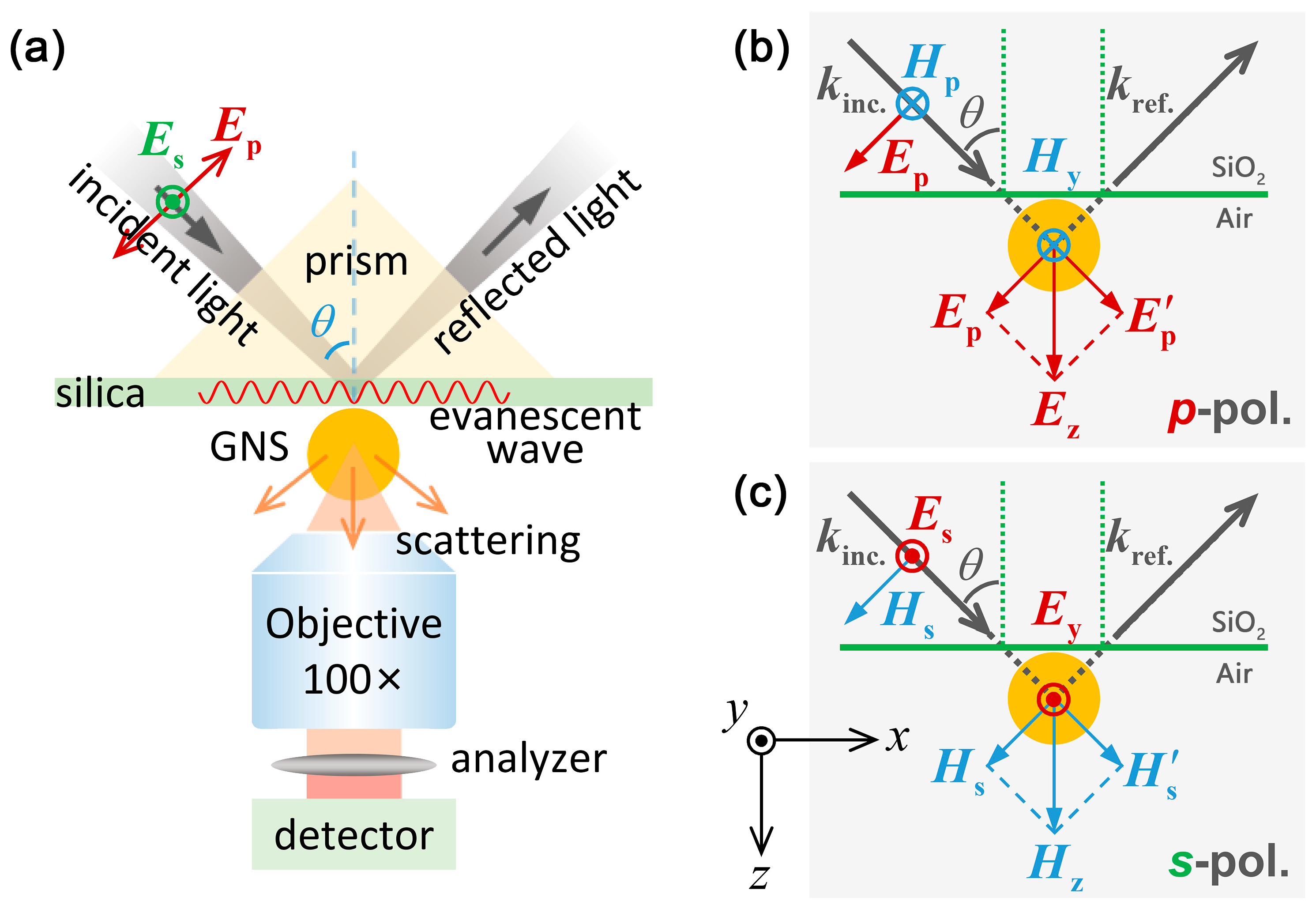 Nanomaterials 09 00175 g002