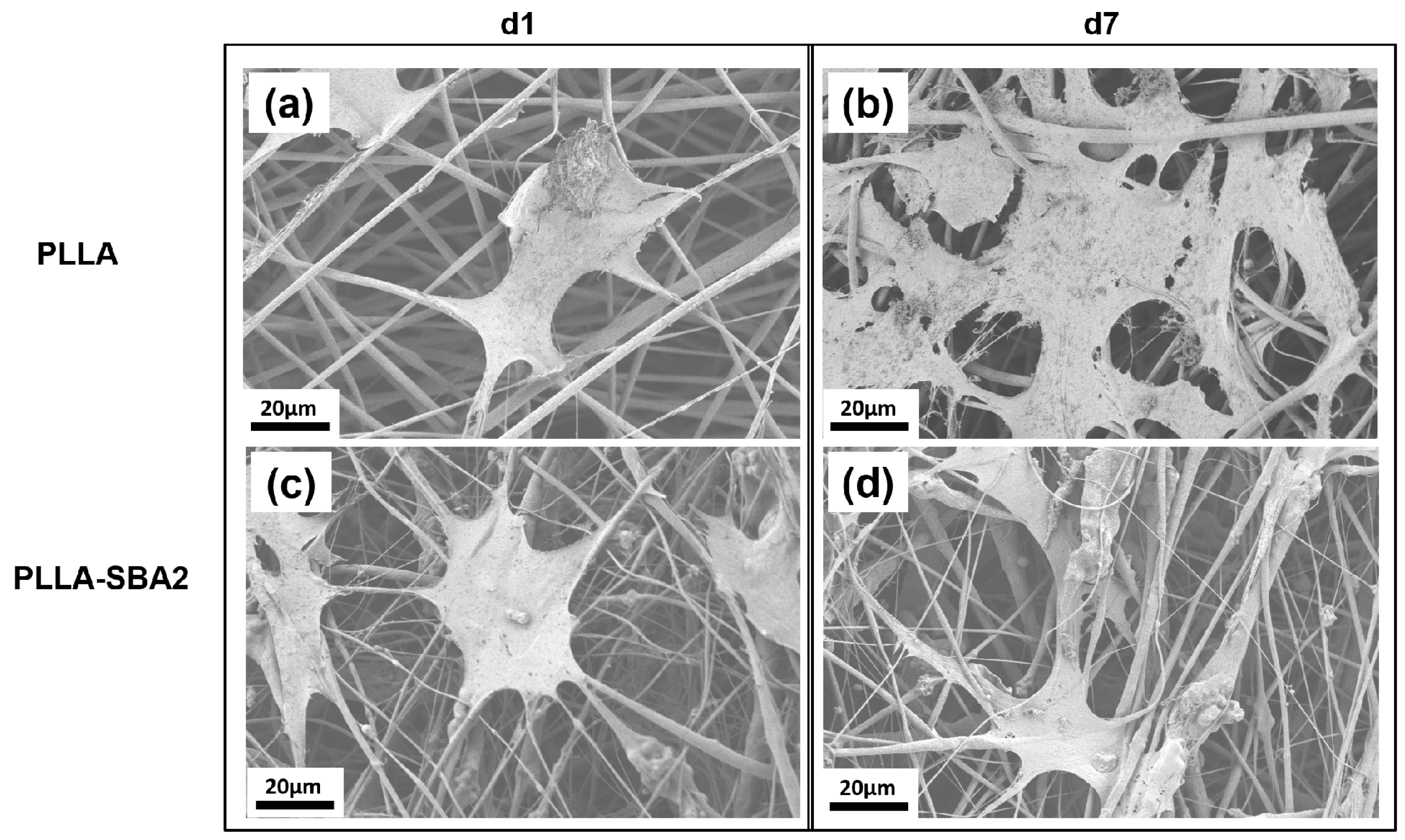 Nanomaterials 09 00182 g008