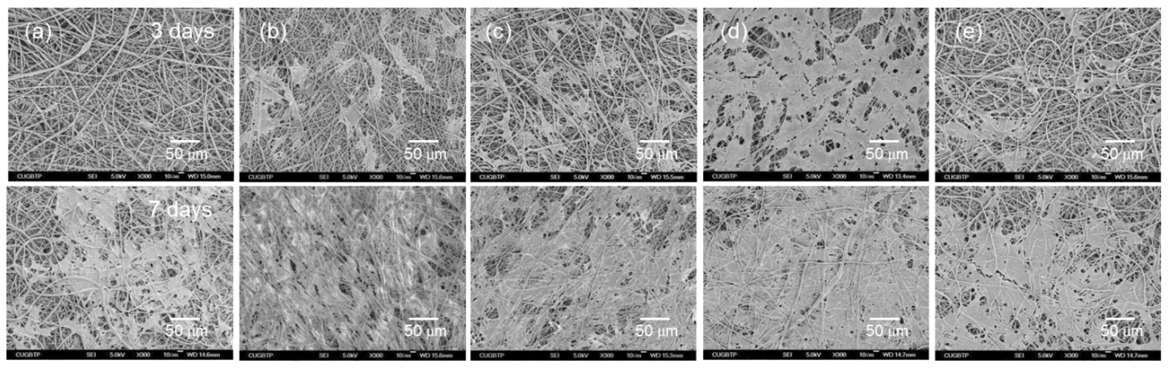 Nanomaterials 09 00184 g009 Nanomaterials 09 00184 g009