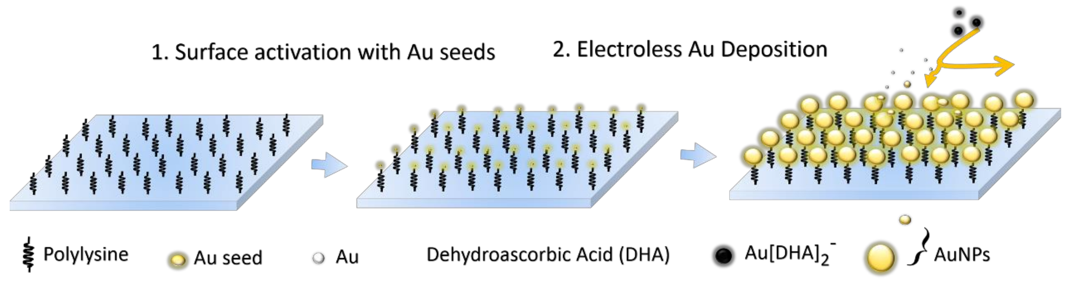 Nanomaterials 09 00185 g001