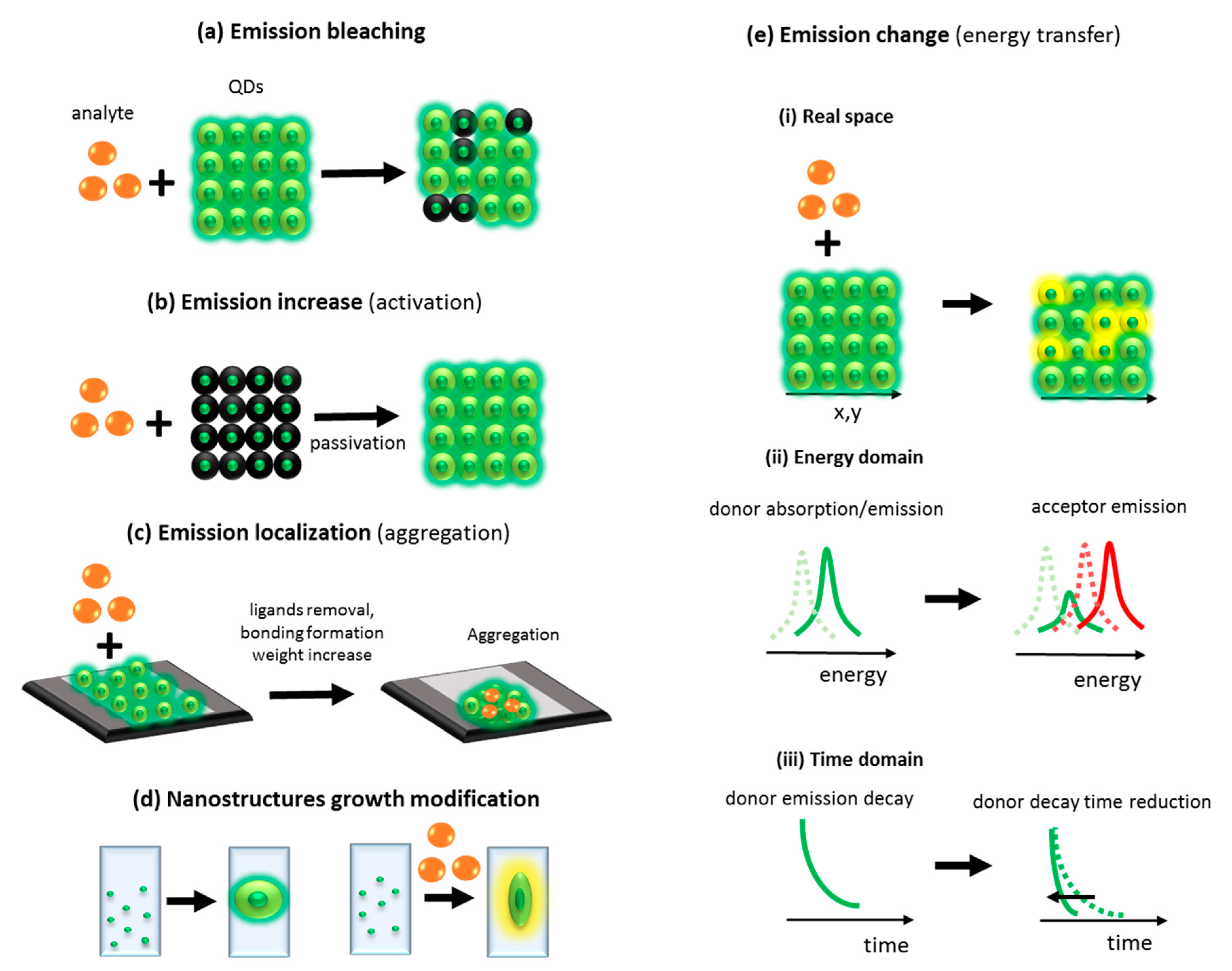 Nanomaterials 09 00192 g005