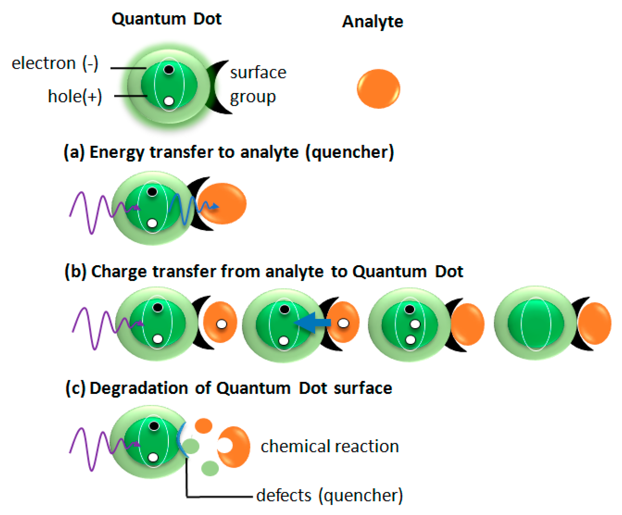 Nanomaterials 09 00192 g006