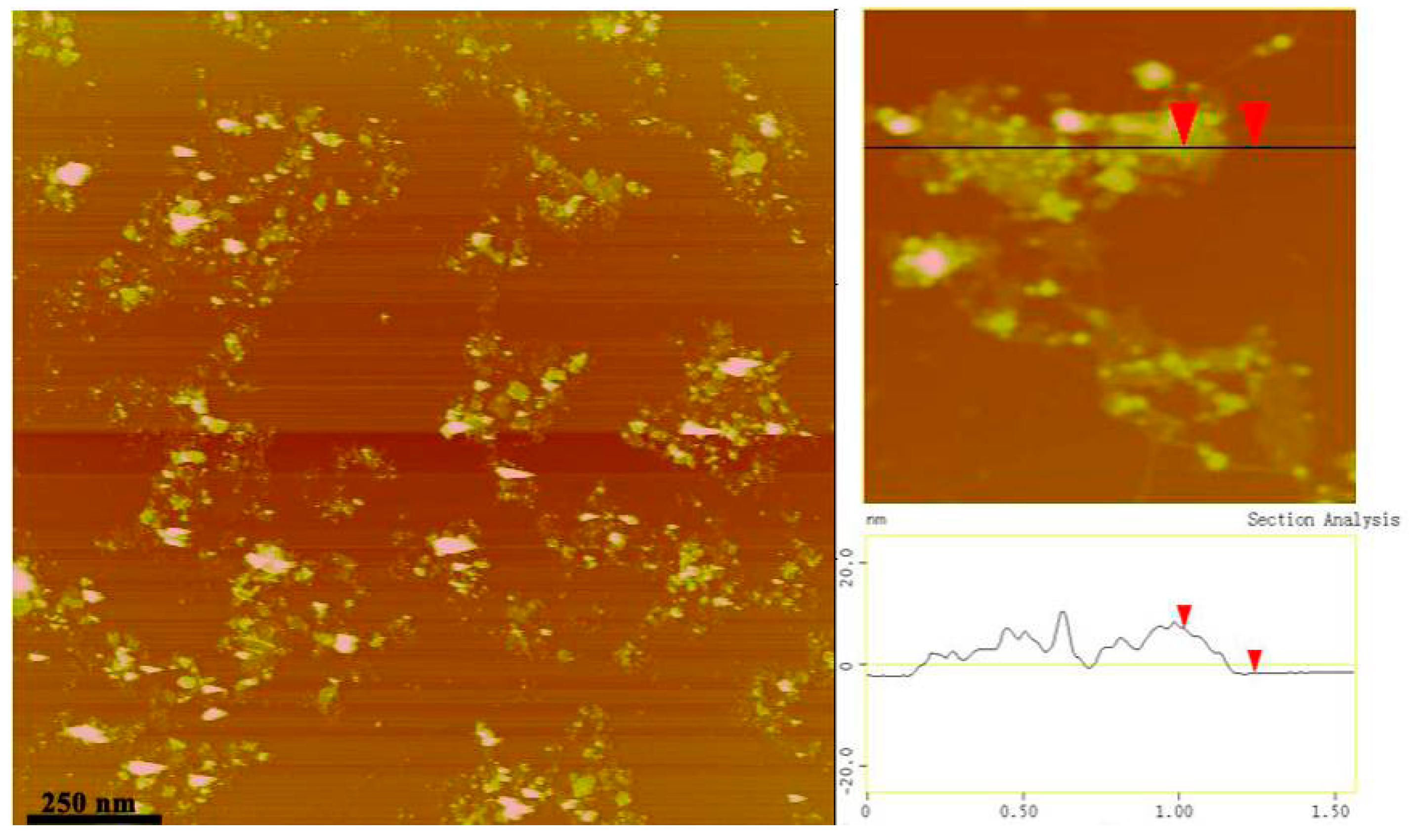 Nanomaterials 09 00207 g006