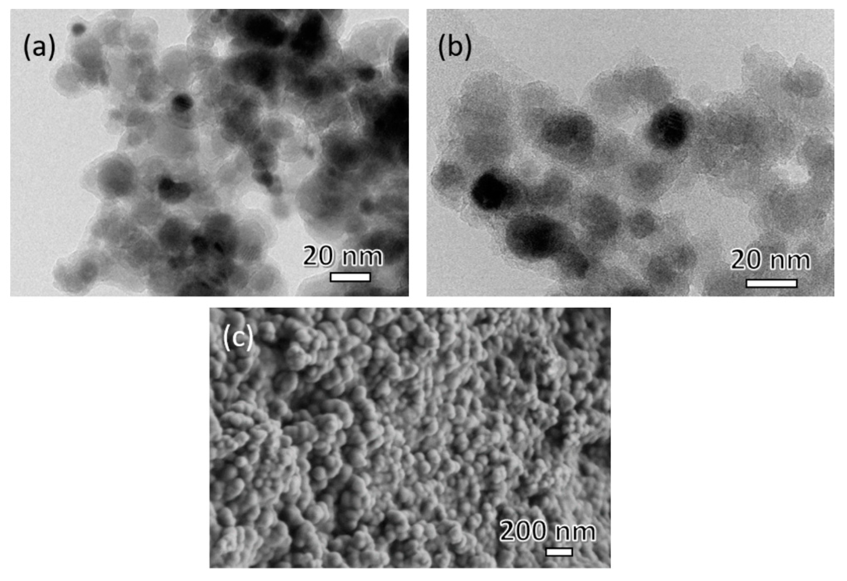 Nanomaterials 09 00209 g002
