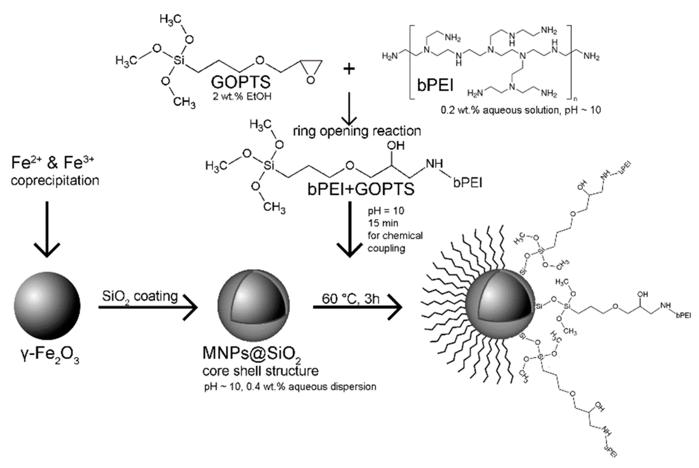 Nanomaterials 09 00209 sch001