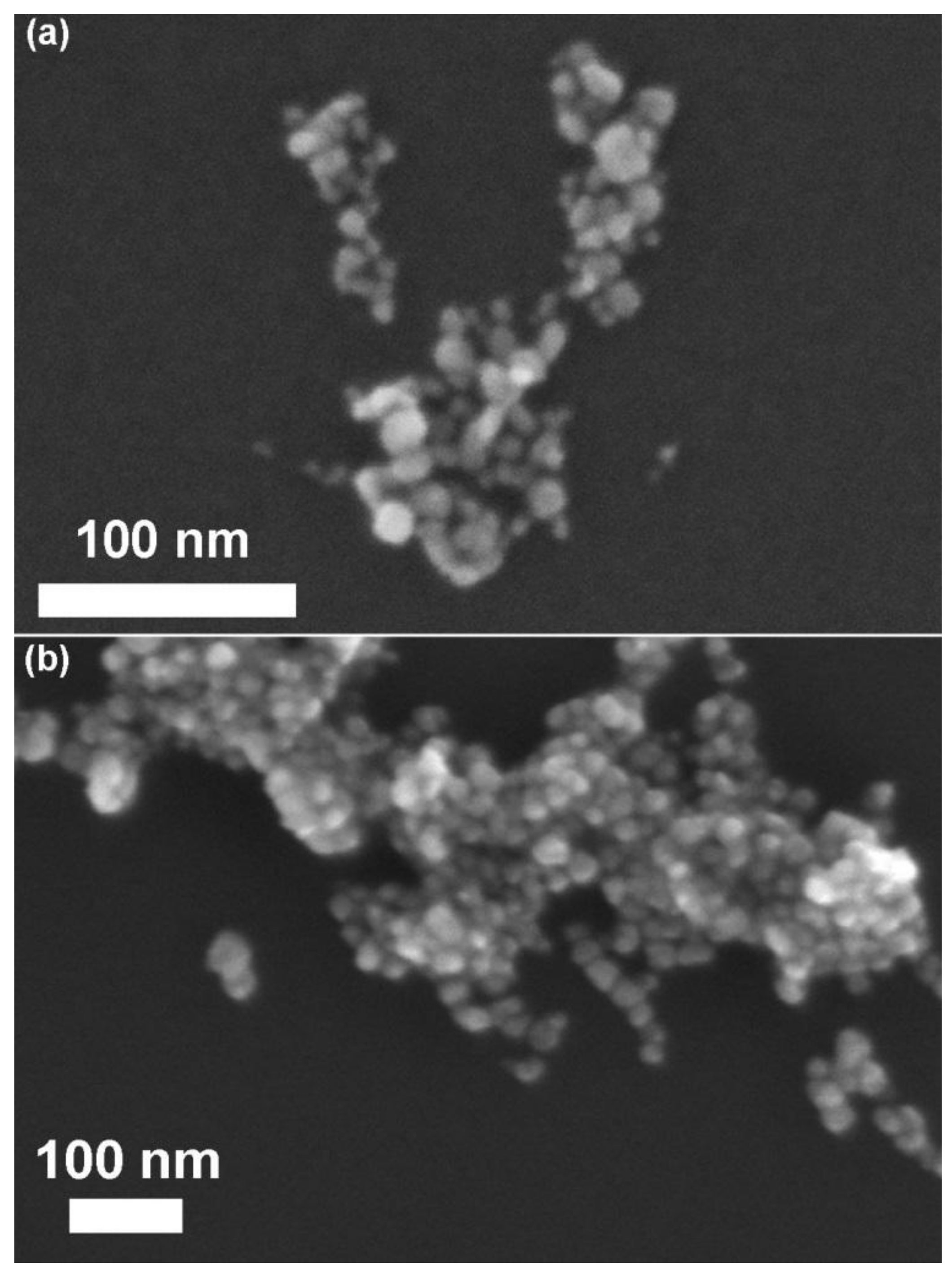 Nanomaterials 09 00212 g002