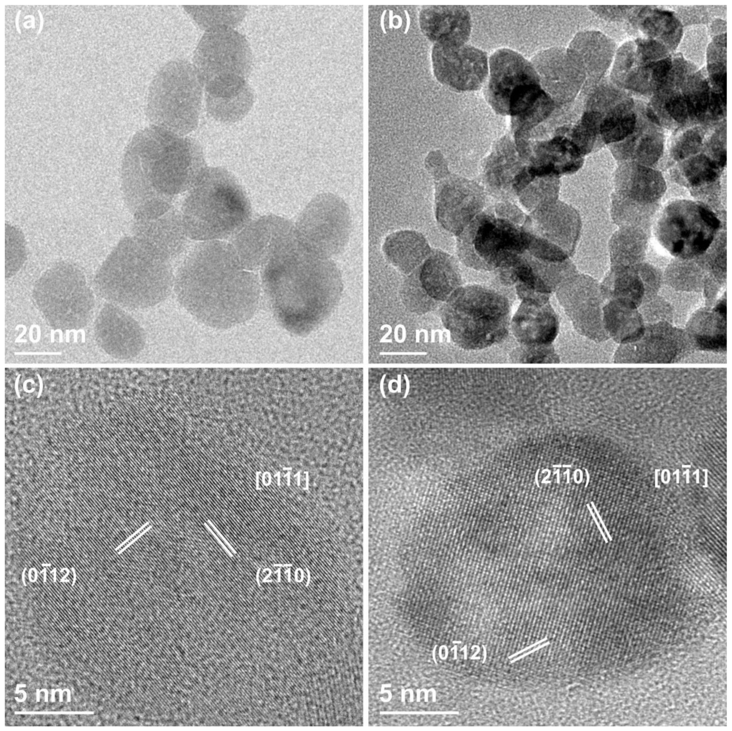 Nanomaterials 09 00212 g004