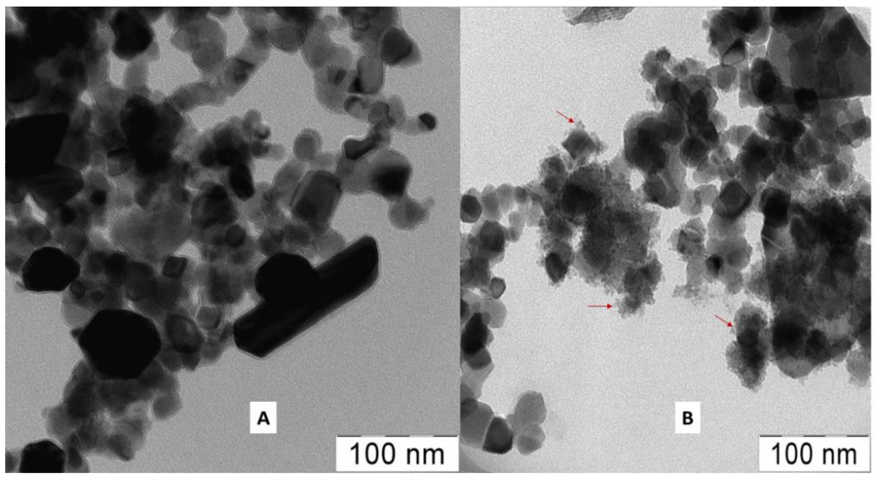 Nanomaterials 09 00217 g003