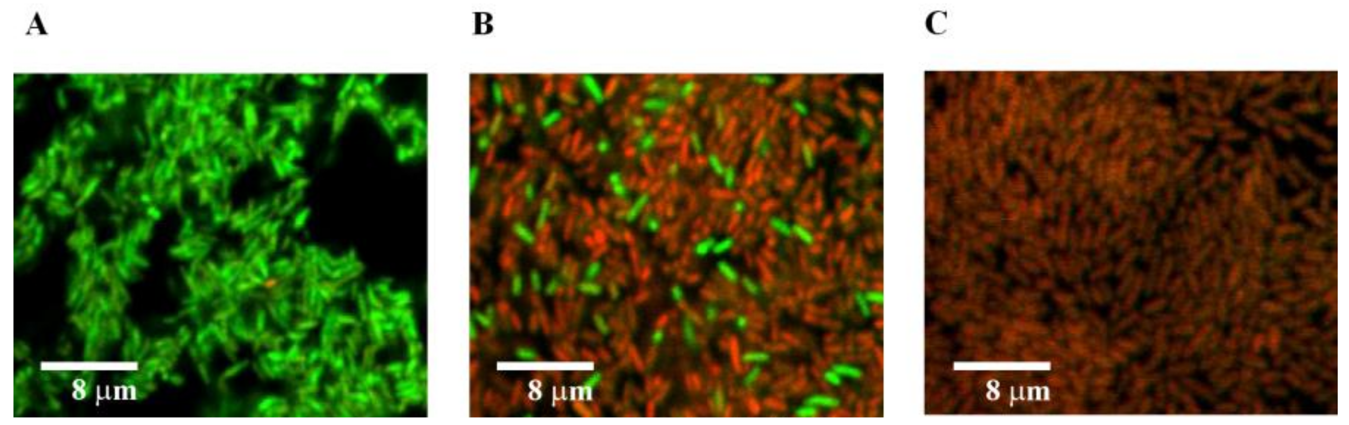 Nanomaterials 09 00217 g006